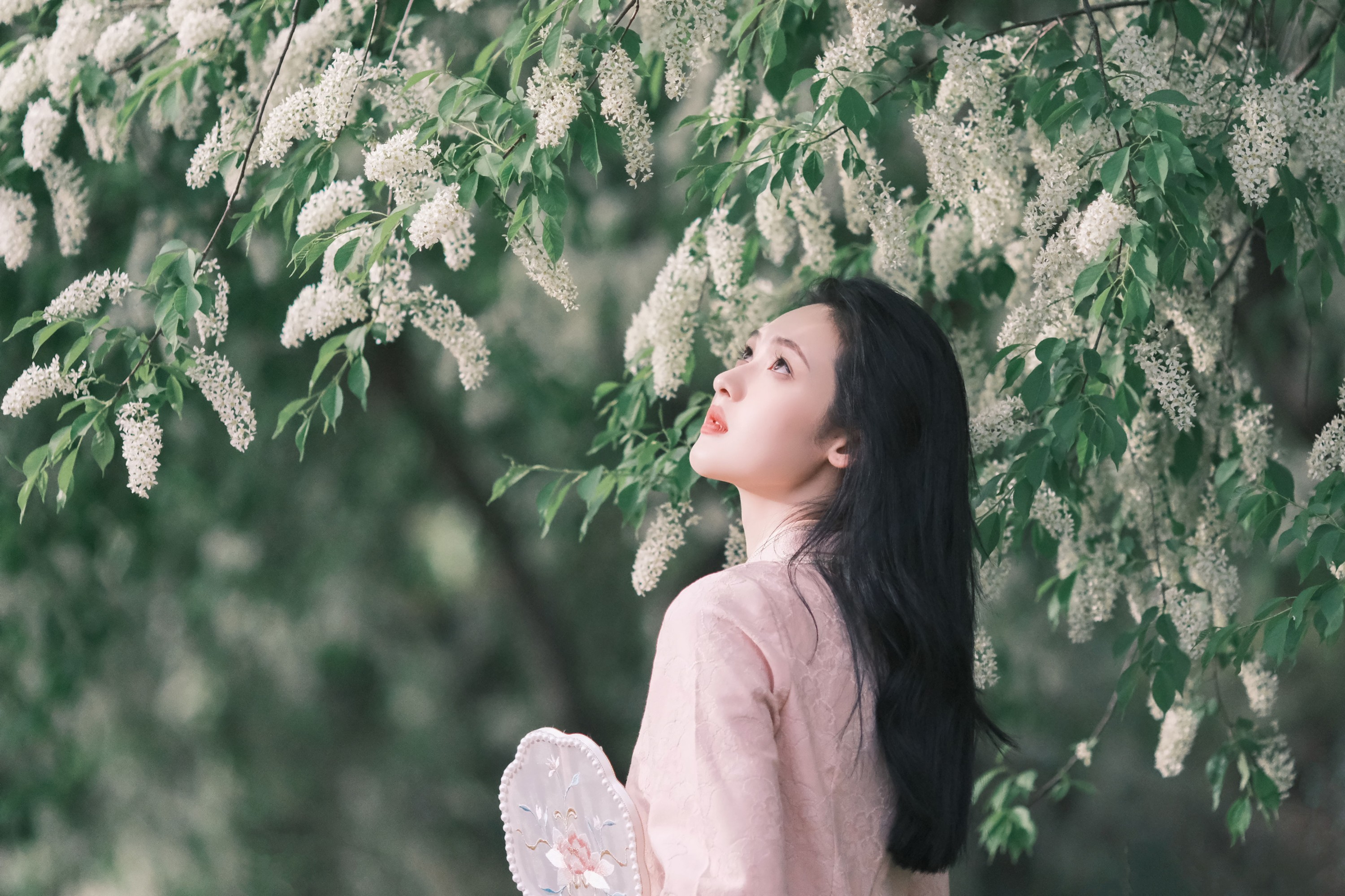 图片[6] - 豌豆雀斑少女 - 《樱吹雪》[26P] - 机器猫次元 - 机器猫次元