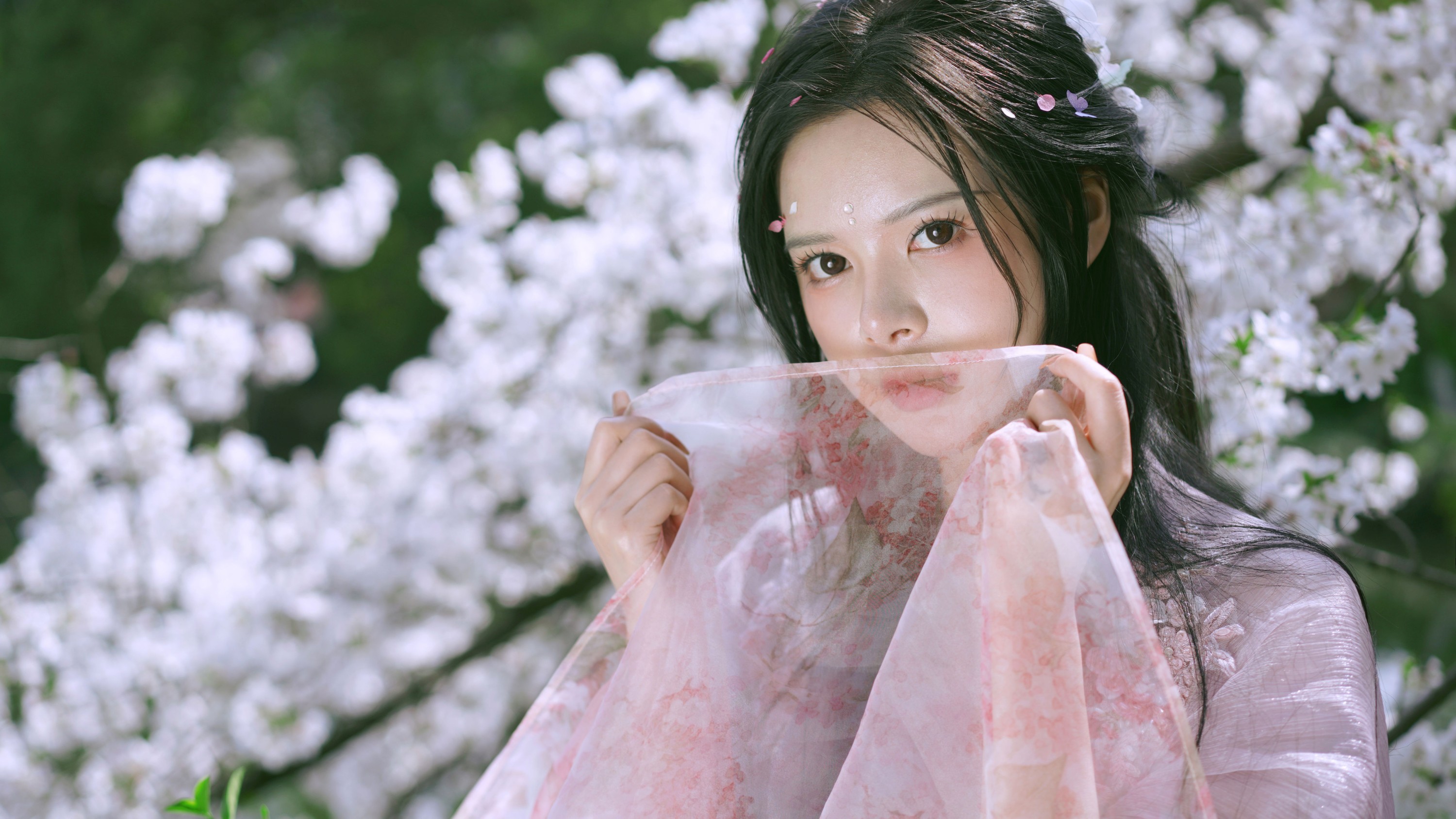 图片[5] - 曦曦 - 《樱花季》[22P] - 机器猫次元 - 机器猫次元