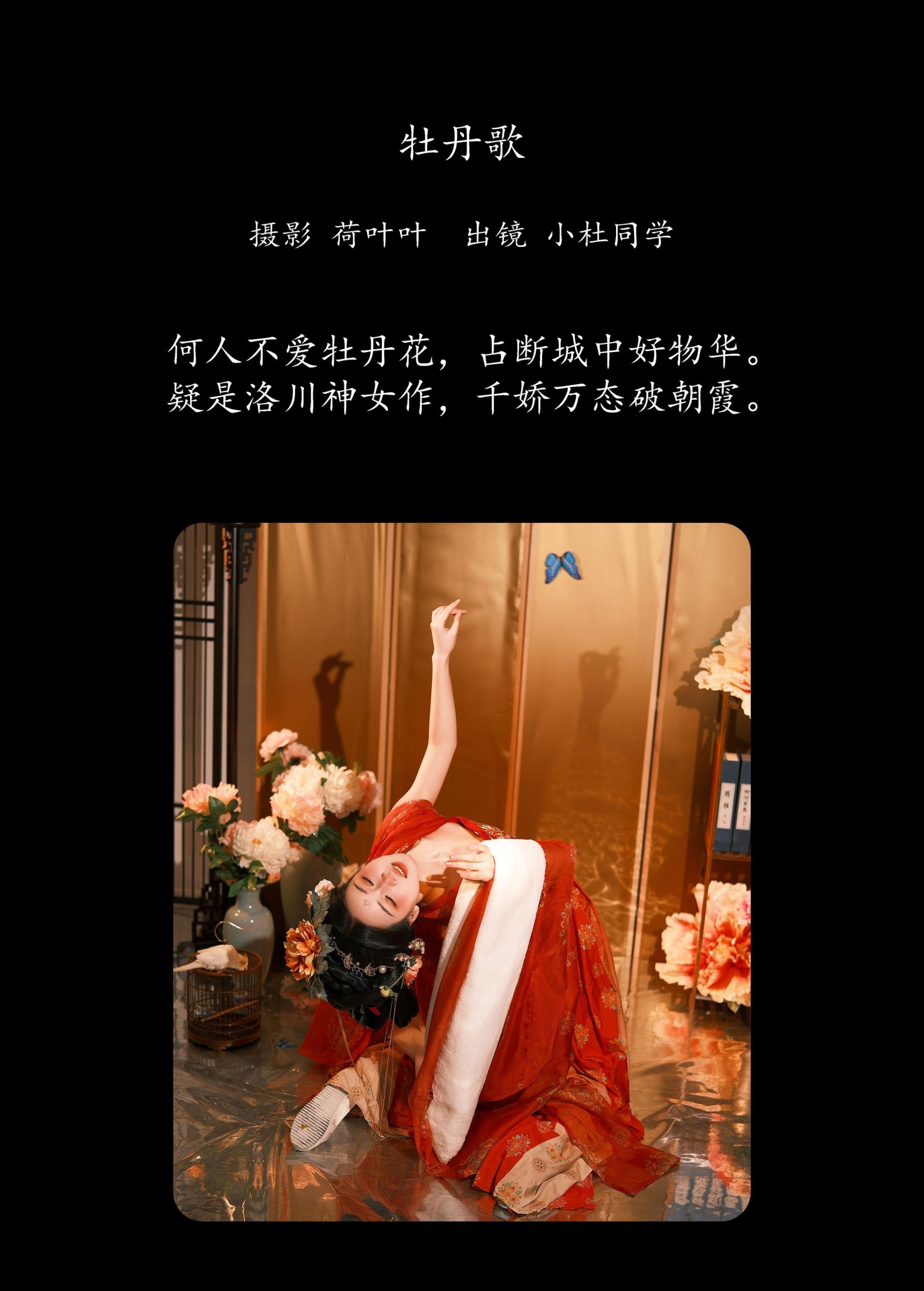 图片[2] - 小杜同学 - 《牡丹歌》[31P] - 机器猫次元 - 机器猫次元