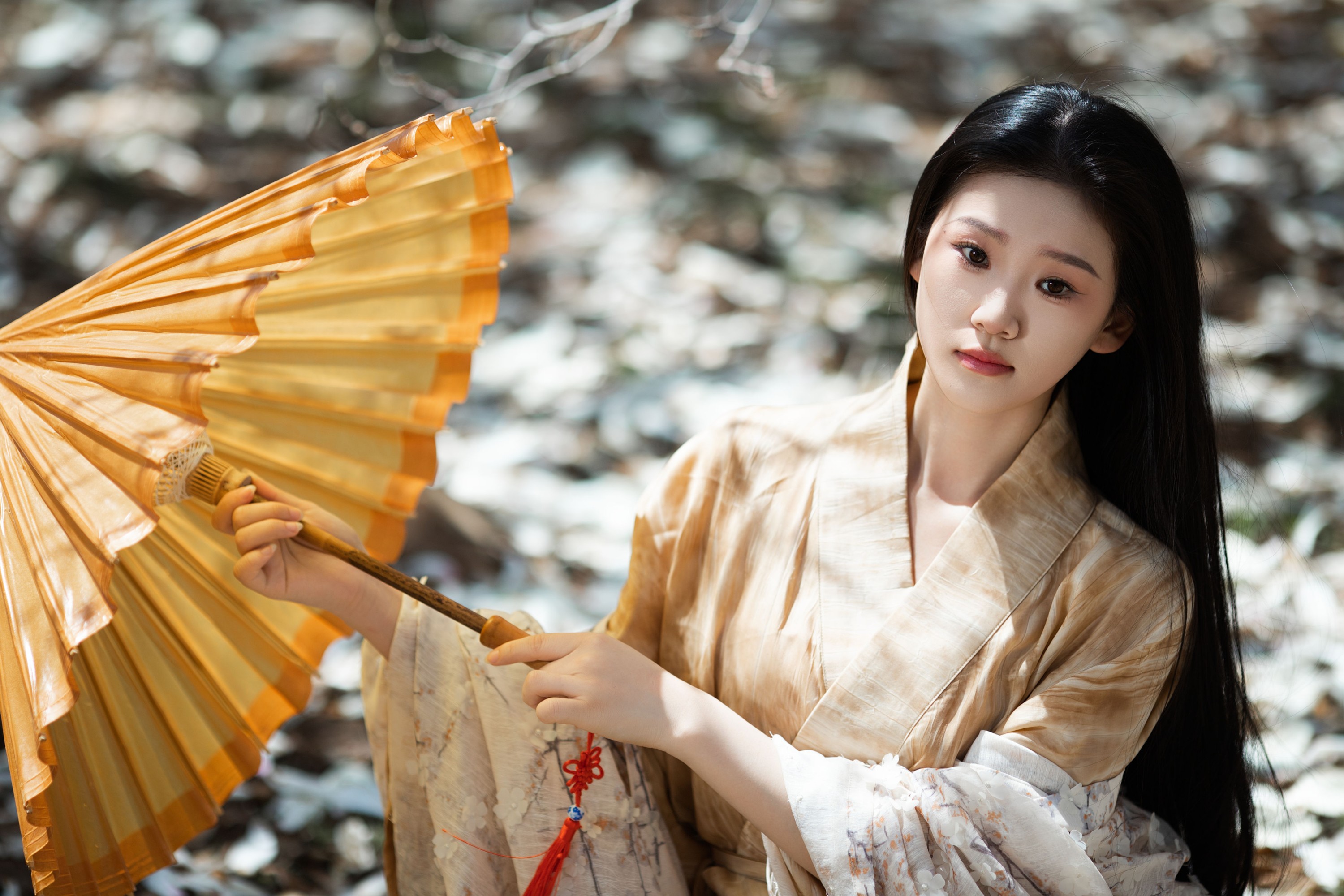 图片[3] - 相望回首喵喵喵 - 《玉兰花开》[24P] - 机器猫次元 - 机器猫次元