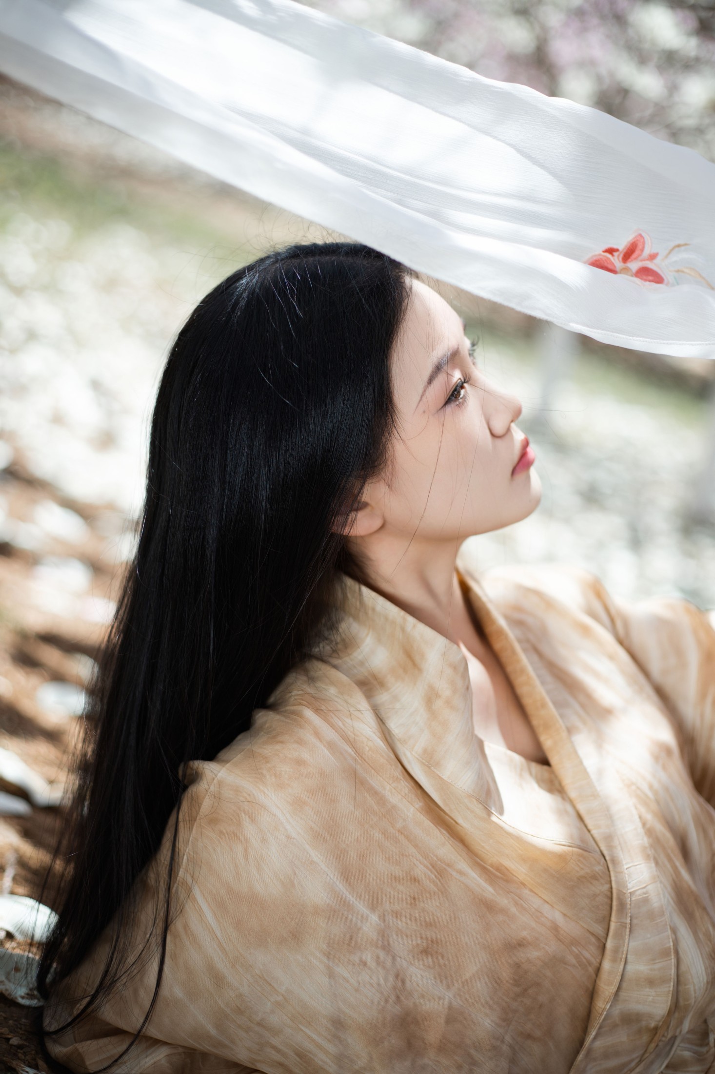 图片[8] - 相望回首喵喵喵 - 《玉兰花开》[24P] - 机器猫次元 - 机器猫次元
