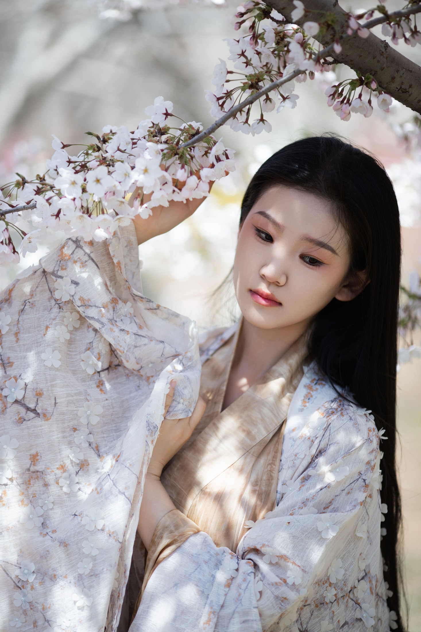 图片[4] - 相望回首喵喵喵 - 《玉兰花开》[24P] - 机器猫次元 - 机器猫次元