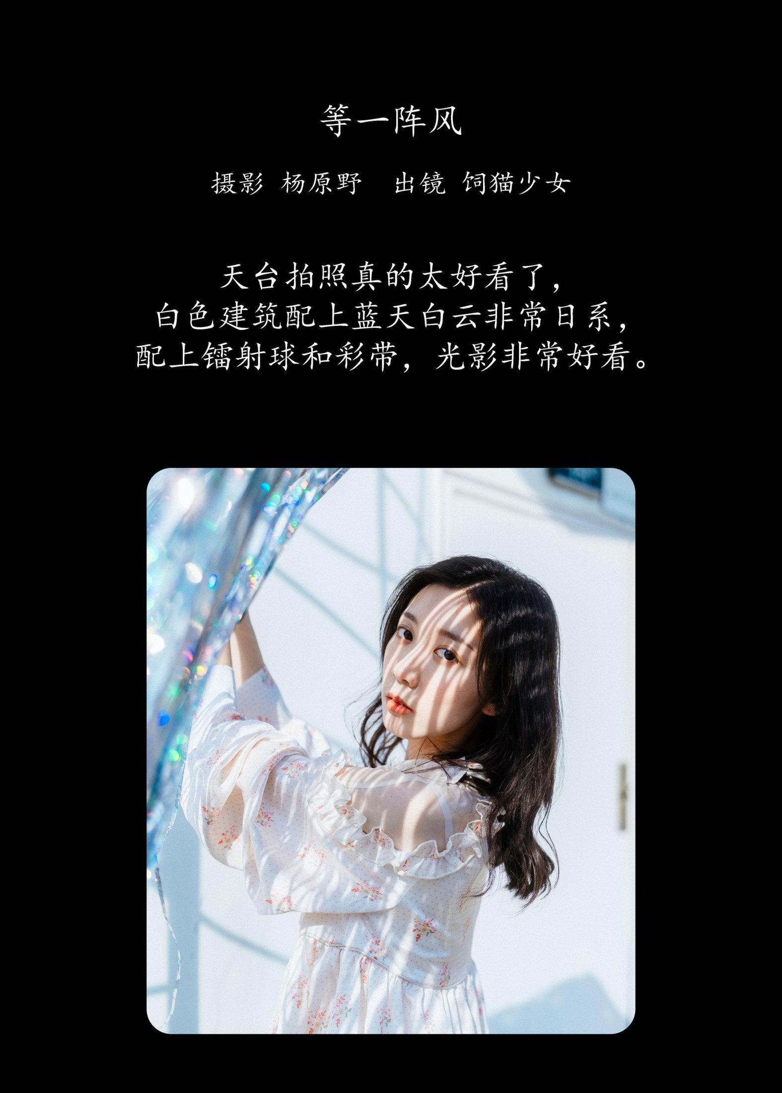 图片[2] - 饲猫少女- 《等一阵风》[27P] - 机器猫次元 - 机器猫次元