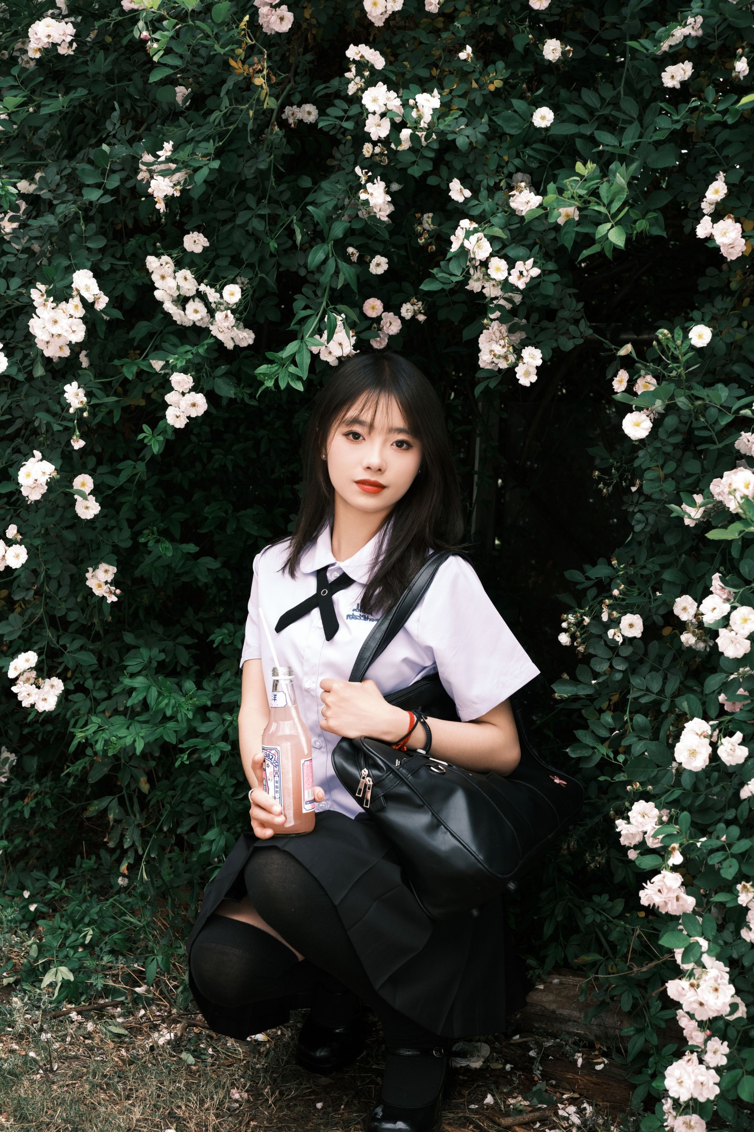 图片[3] - 叶耶耶耶耶 - 《蔷薇少女》[25P] - 机器猫次元 - 机器猫次元