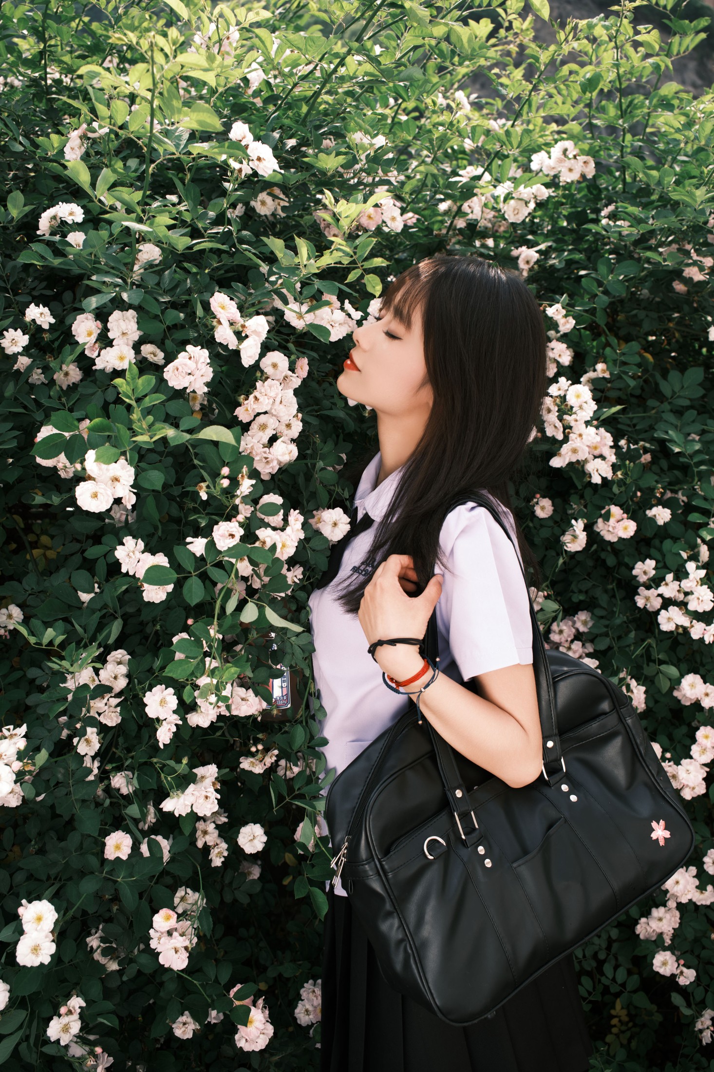 图片[6] - 叶耶耶耶耶 - 《蔷薇少女》[25P] - 机器猫次元 - 机器猫次元