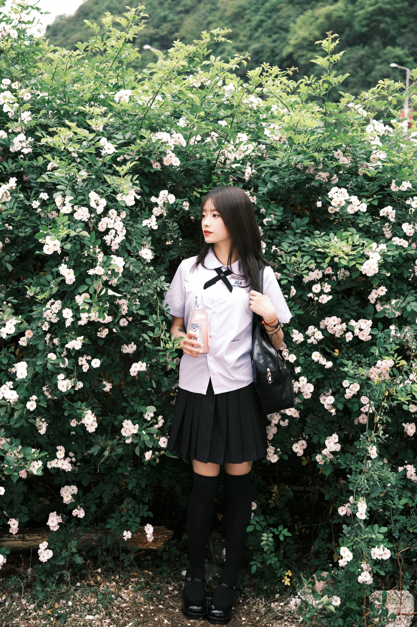 图片[4] - 叶耶耶耶耶 - 《蔷薇少女》[25P] - 机器猫次元 - 机器猫次元
