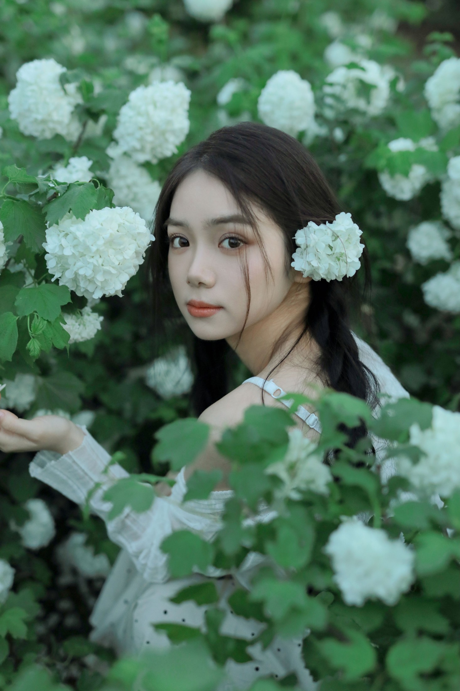 图片[8] - 我不刷鸟 - 《四月绣球》[22P] - 机器猫次元 - 机器猫次元