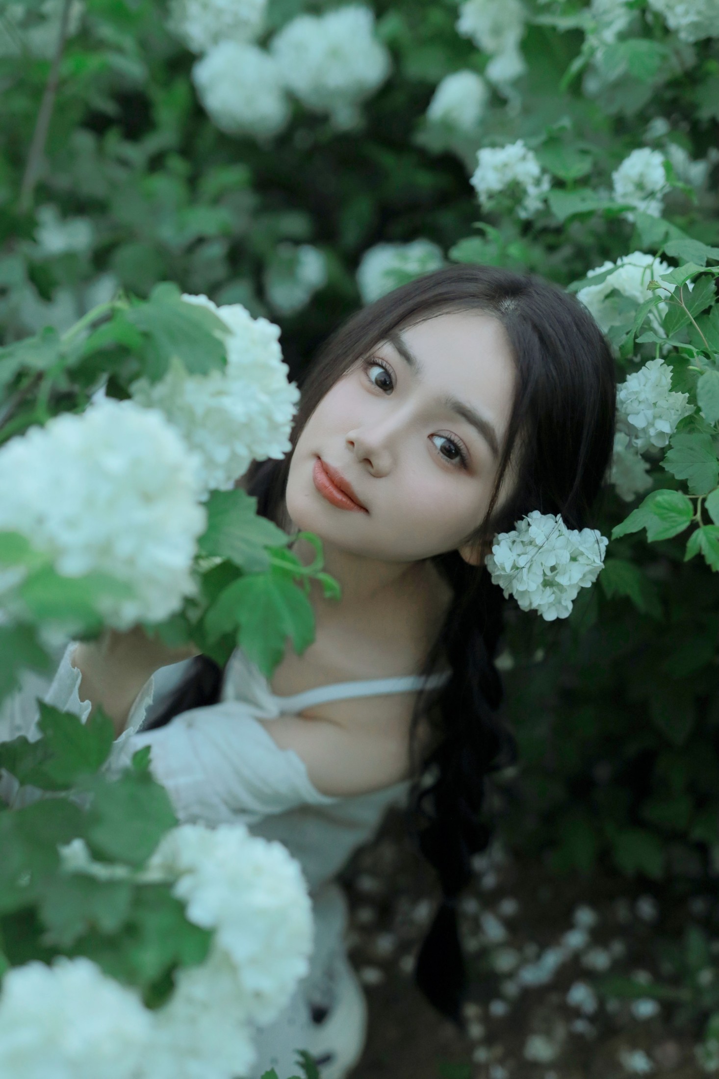图片[7] - 我不刷鸟 - 《四月绣球》[22P] - 机器猫次元 - 机器猫次元