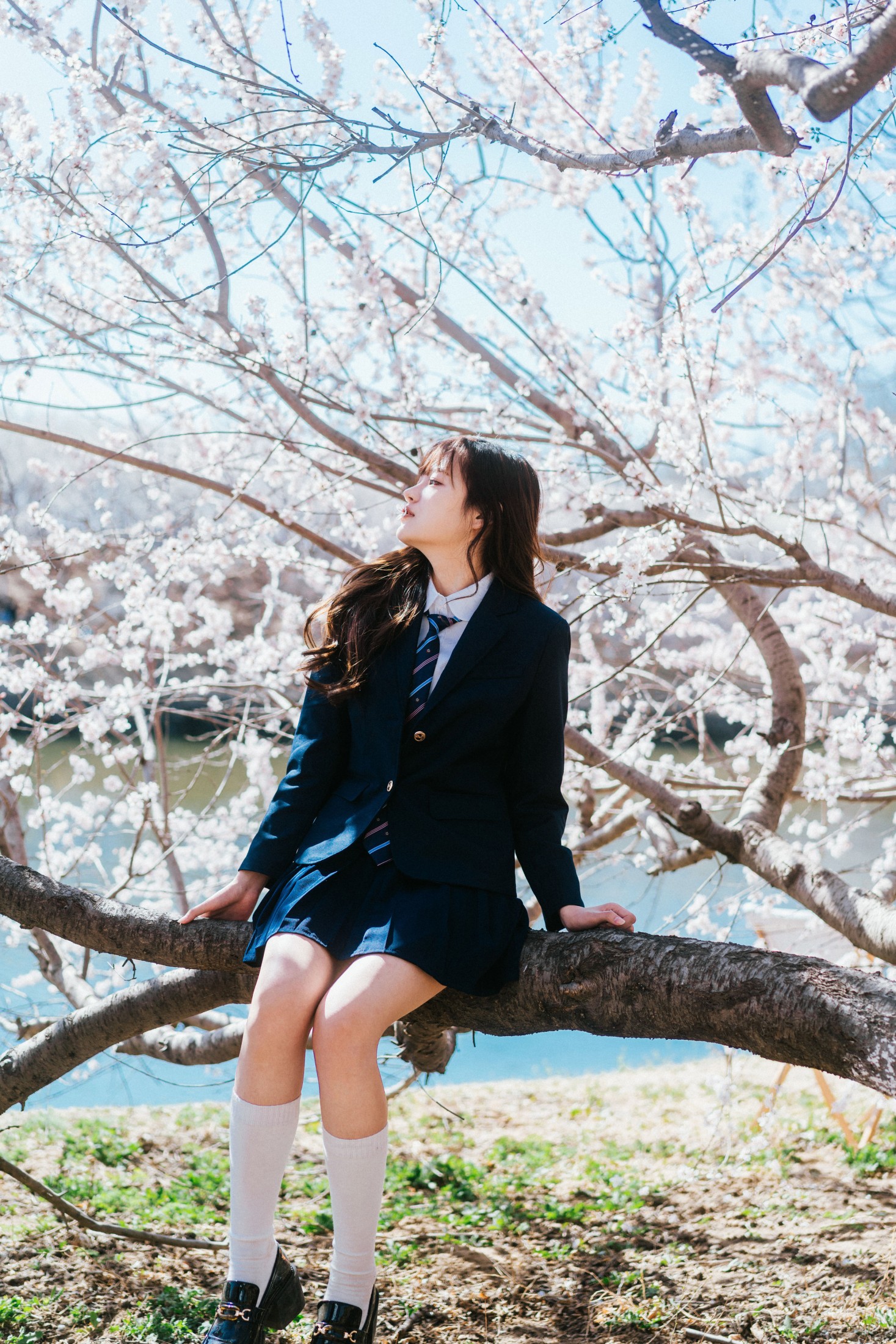 图片[4] - 苏闪闪 - 《花与少女》[29P] - 机器猫次元 - 机器猫次元