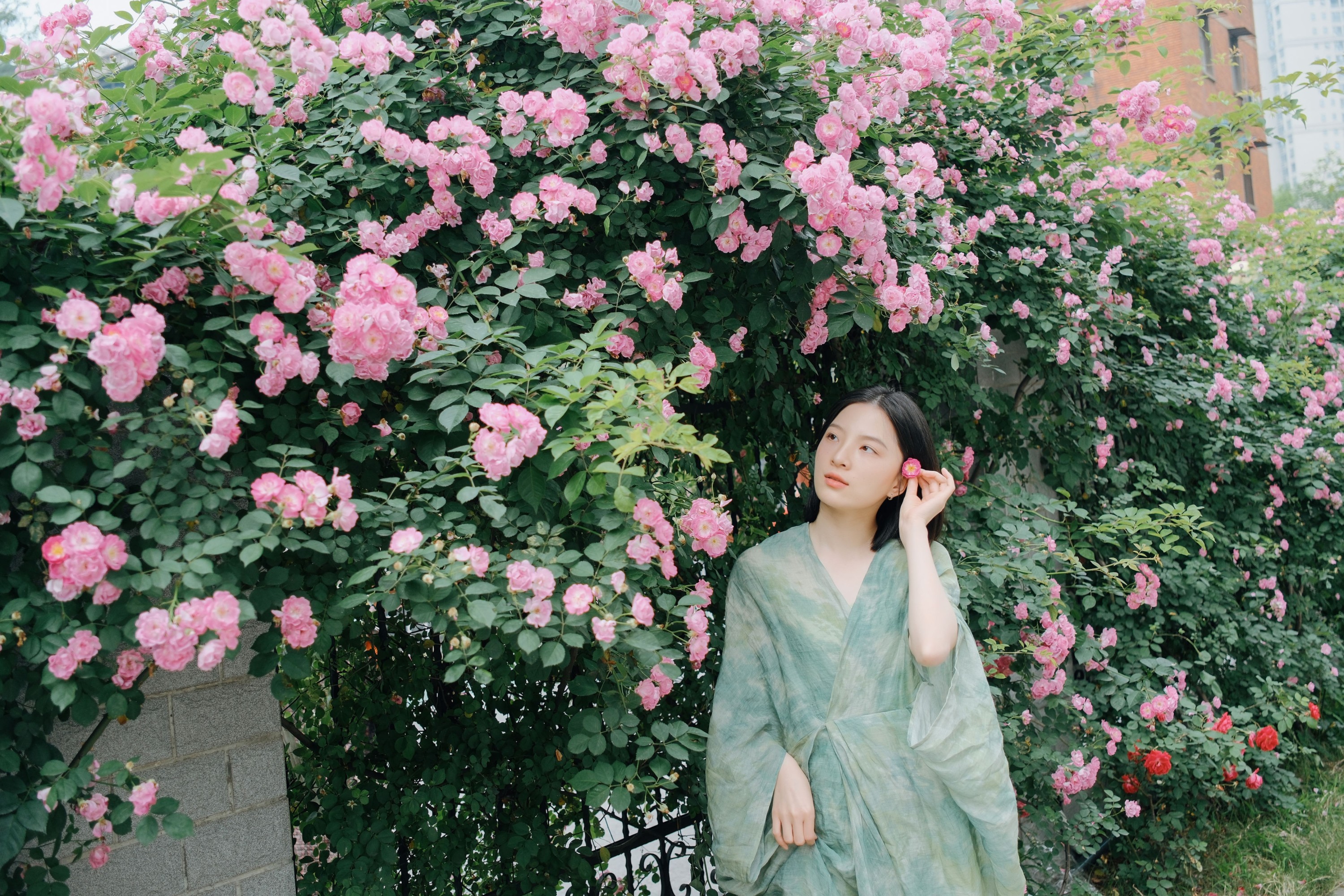 图片[7] - 苗苗 - 《记忆是无花的蔷薇》[22P] - 机器猫次元 - 机器猫次元