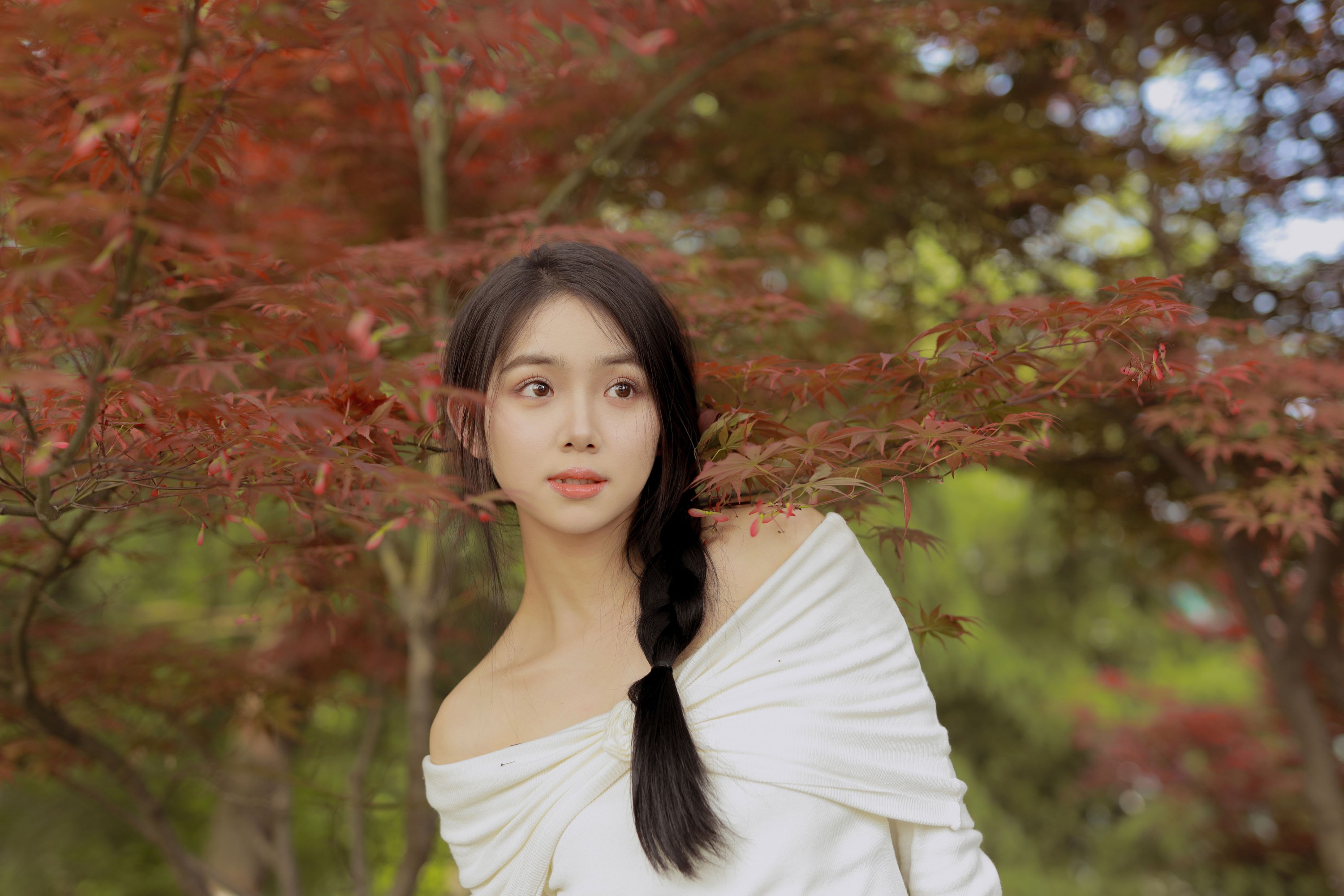 图片[4] - 我不刷鸟 - 《红叶季节》[28P] - 机器猫次元 - 机器猫次元