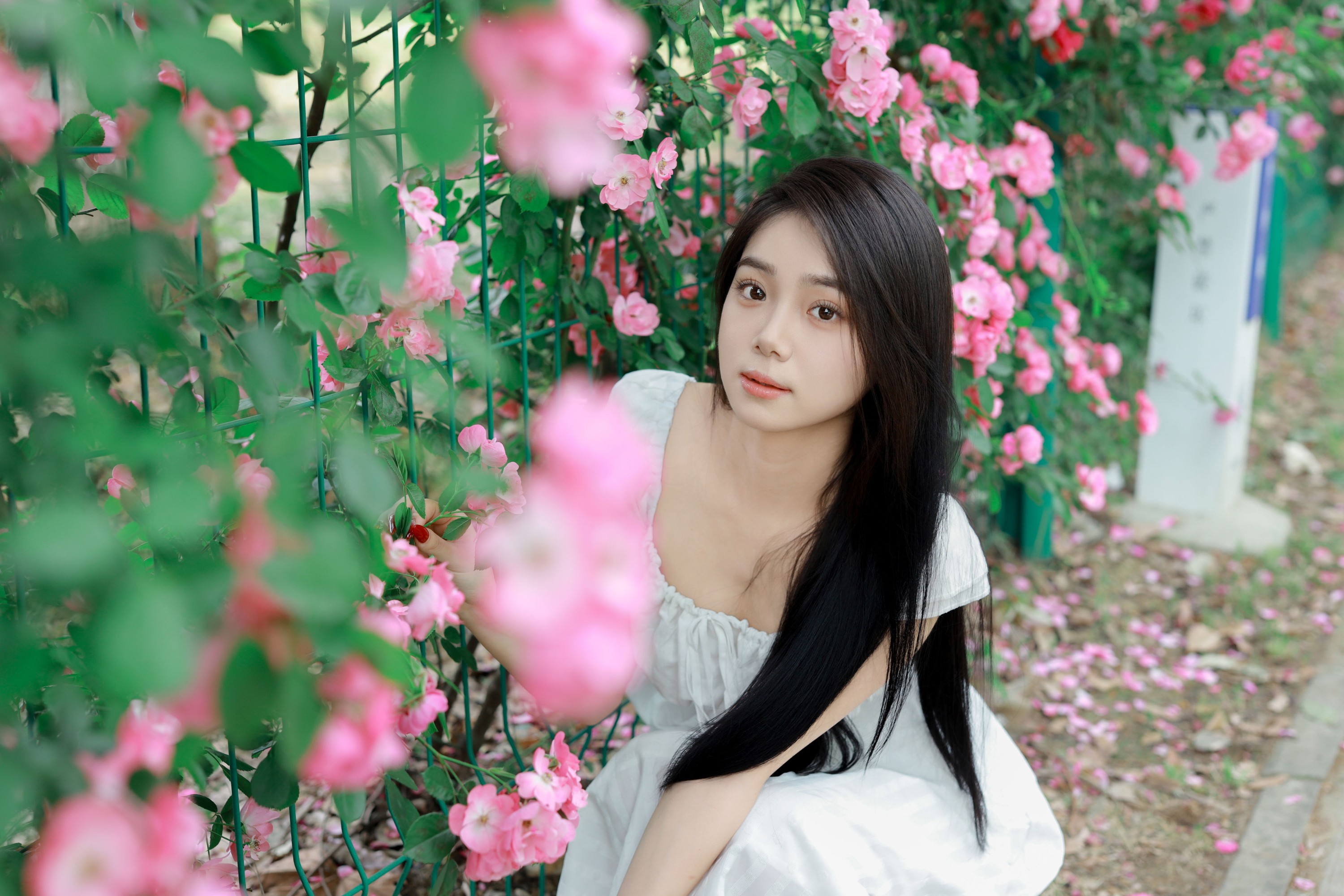 图片[8] - 我不刷鸟 - 《花墙》[26P] - 机器猫次元 - 机器猫次元
