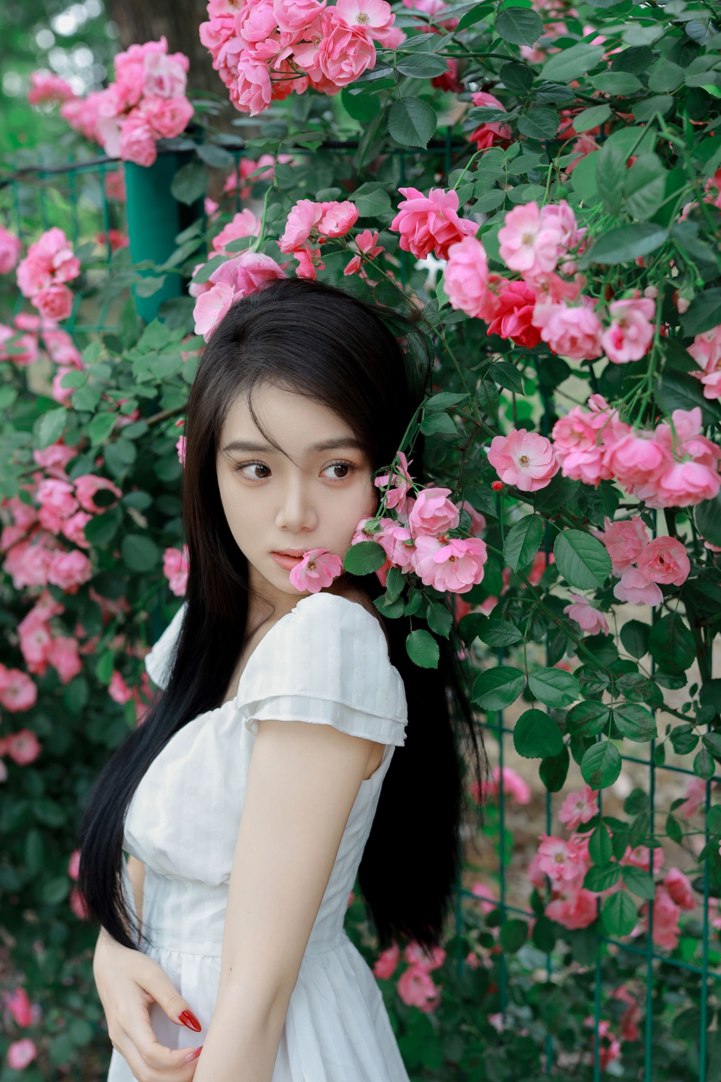 图片[5] - 我不刷鸟 - 《花墙》[26P] - 机器猫次元 - 机器猫次元