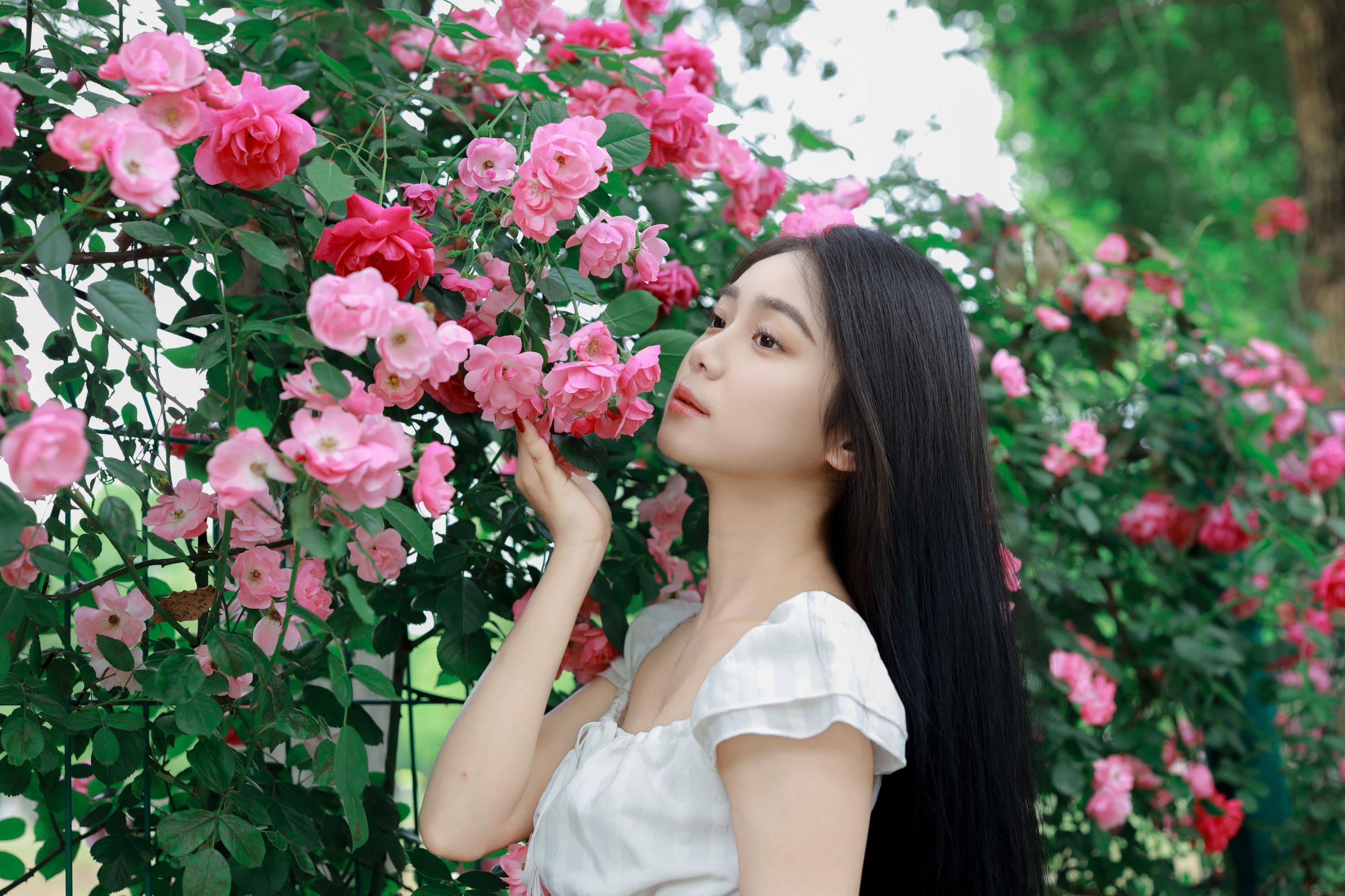 图片[6] - 我不刷鸟 - 《花墙》[26P] - 机器猫次元 - 机器猫次元