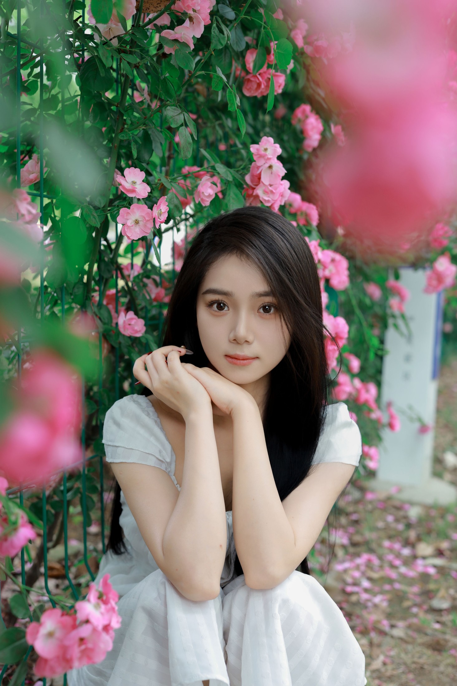图片[3] - 我不刷鸟 - 《花墙》[26P] - 机器猫次元 - 机器猫次元