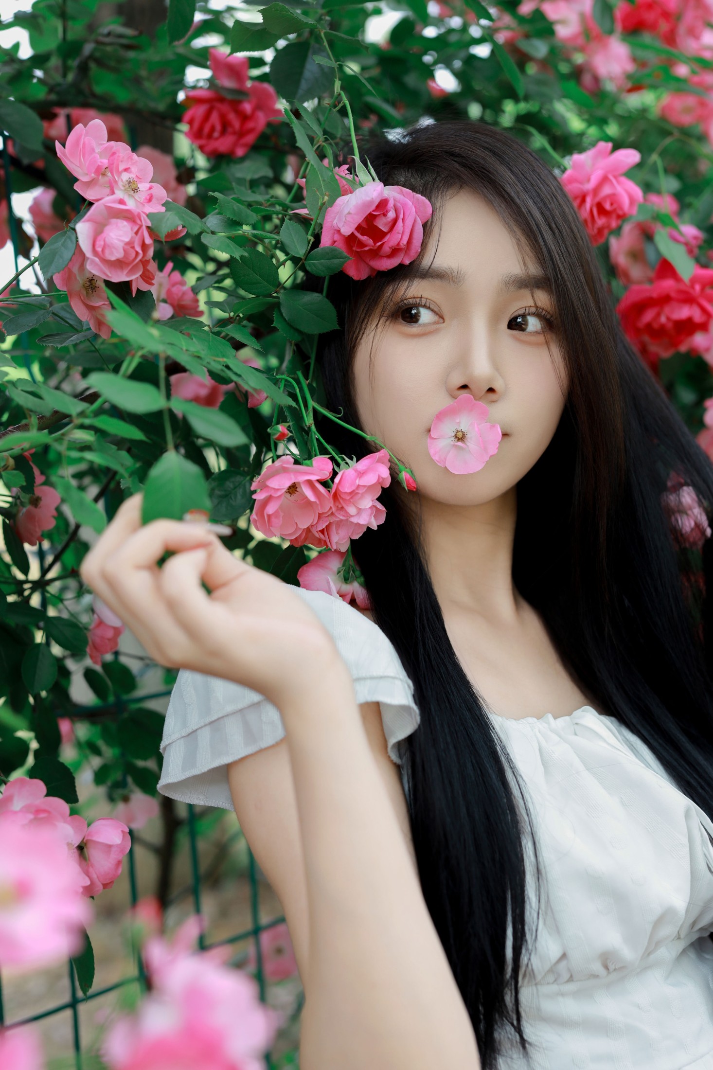 图片[4] - 我不刷鸟 - 《花墙》[26P] - 机器猫次元 - 机器猫次元