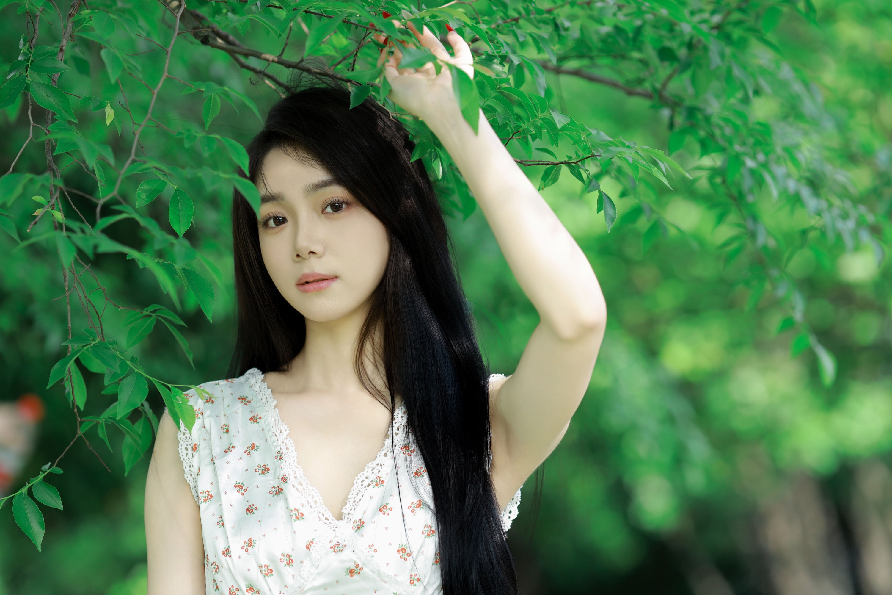 图片[8] - 我不刷鸟 - 《林间绿影》[24P] - 机器猫次元 - 机器猫次元