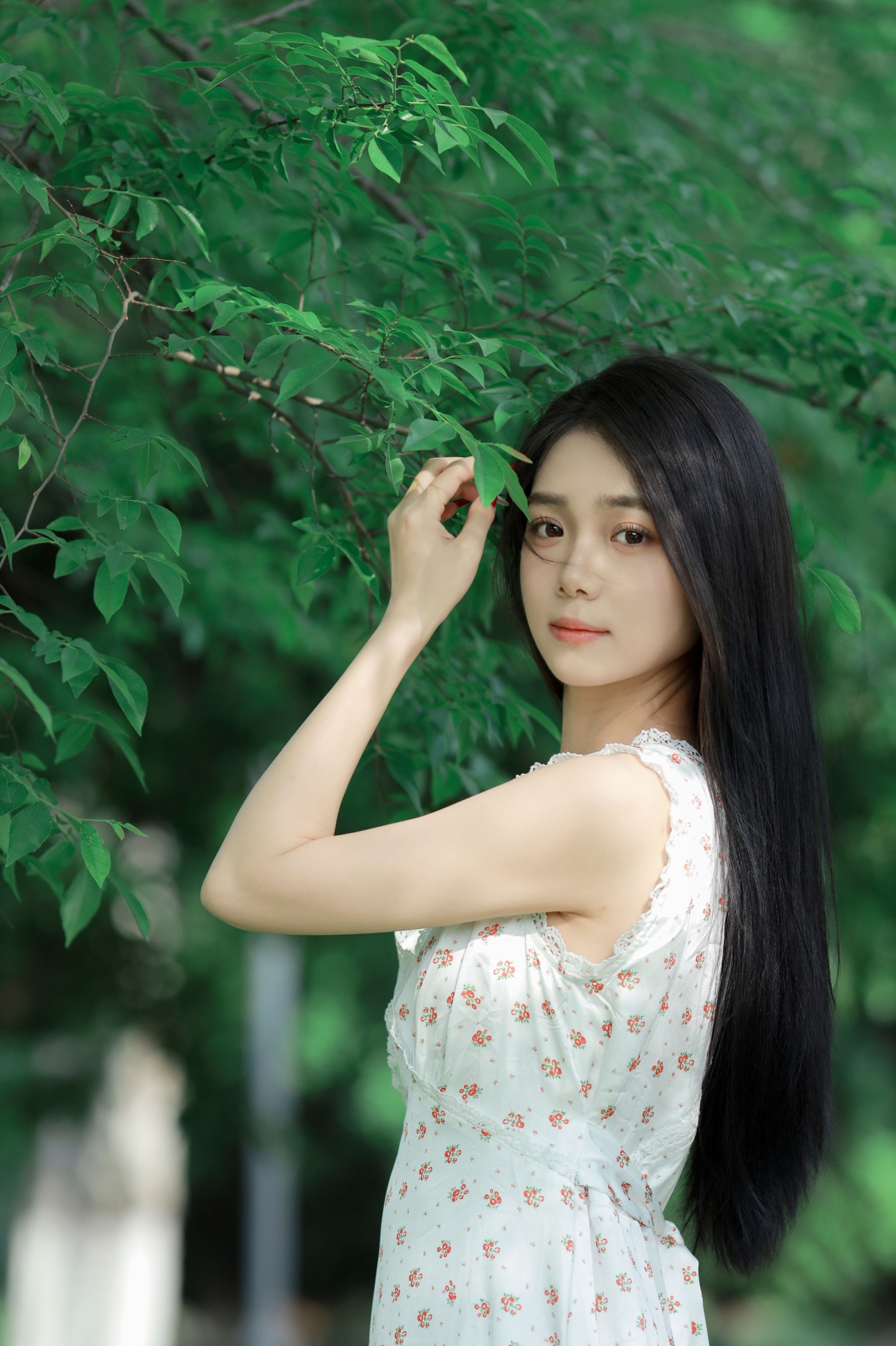 图片[7] - 我不刷鸟 - 《林间绿影》[24P] - 机器猫次元 - 机器猫次元