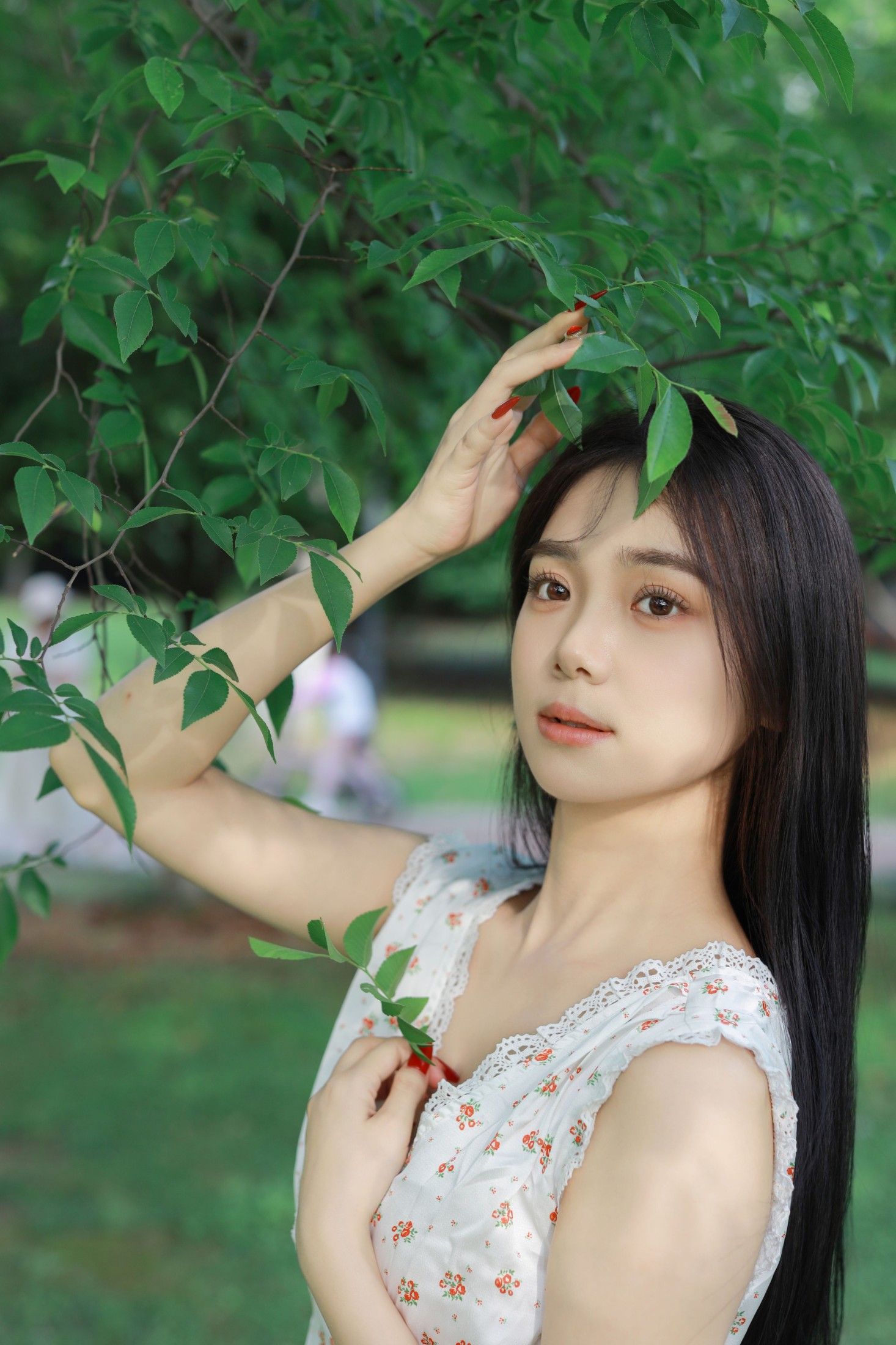 图片[6] - 我不刷鸟 - 《林间绿影》[24P] - 机器猫次元 - 机器猫次元