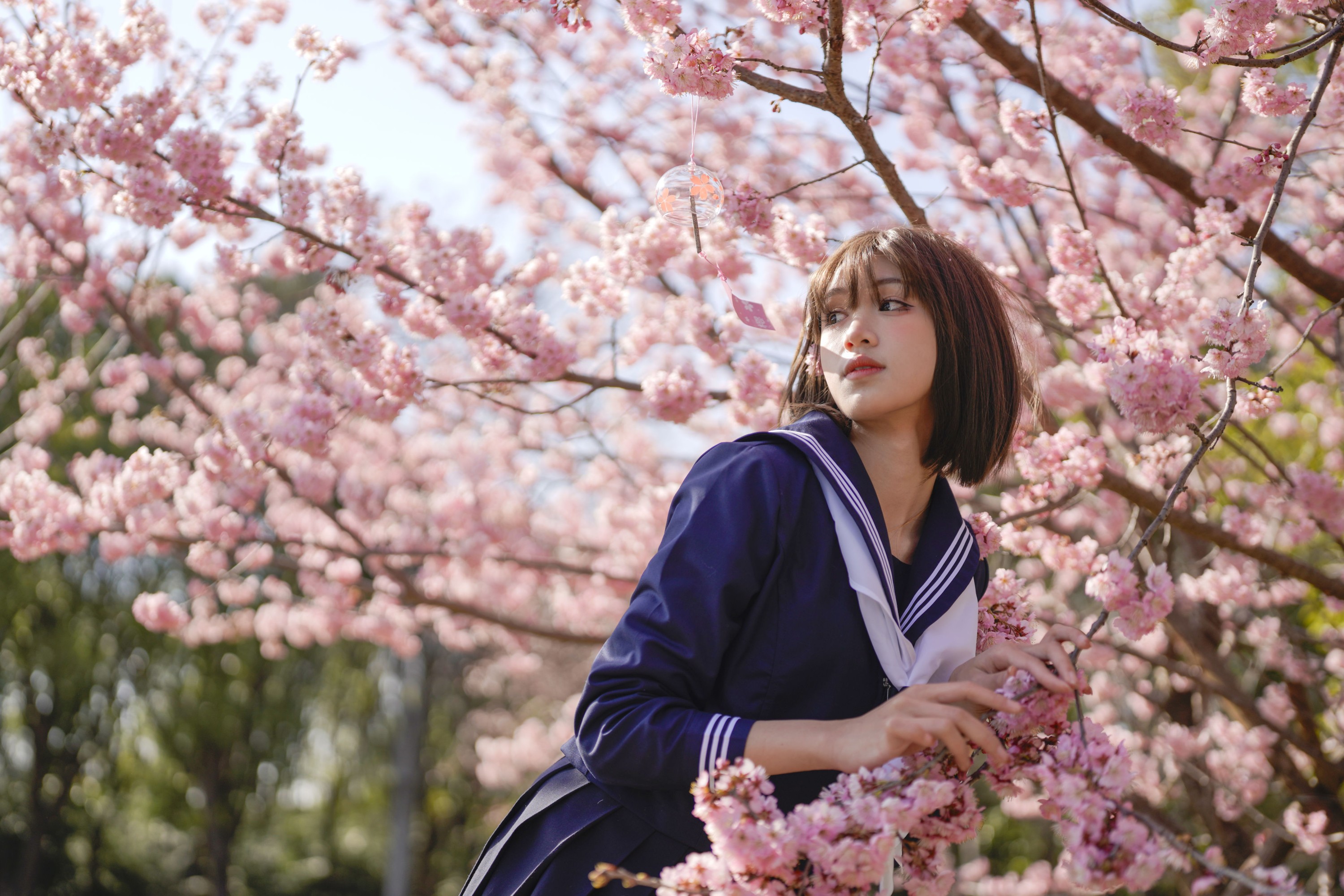 图片[5] - 吞树梅 - 《樱花树下JK》[26P] - 机器猫次元 - 机器猫次元