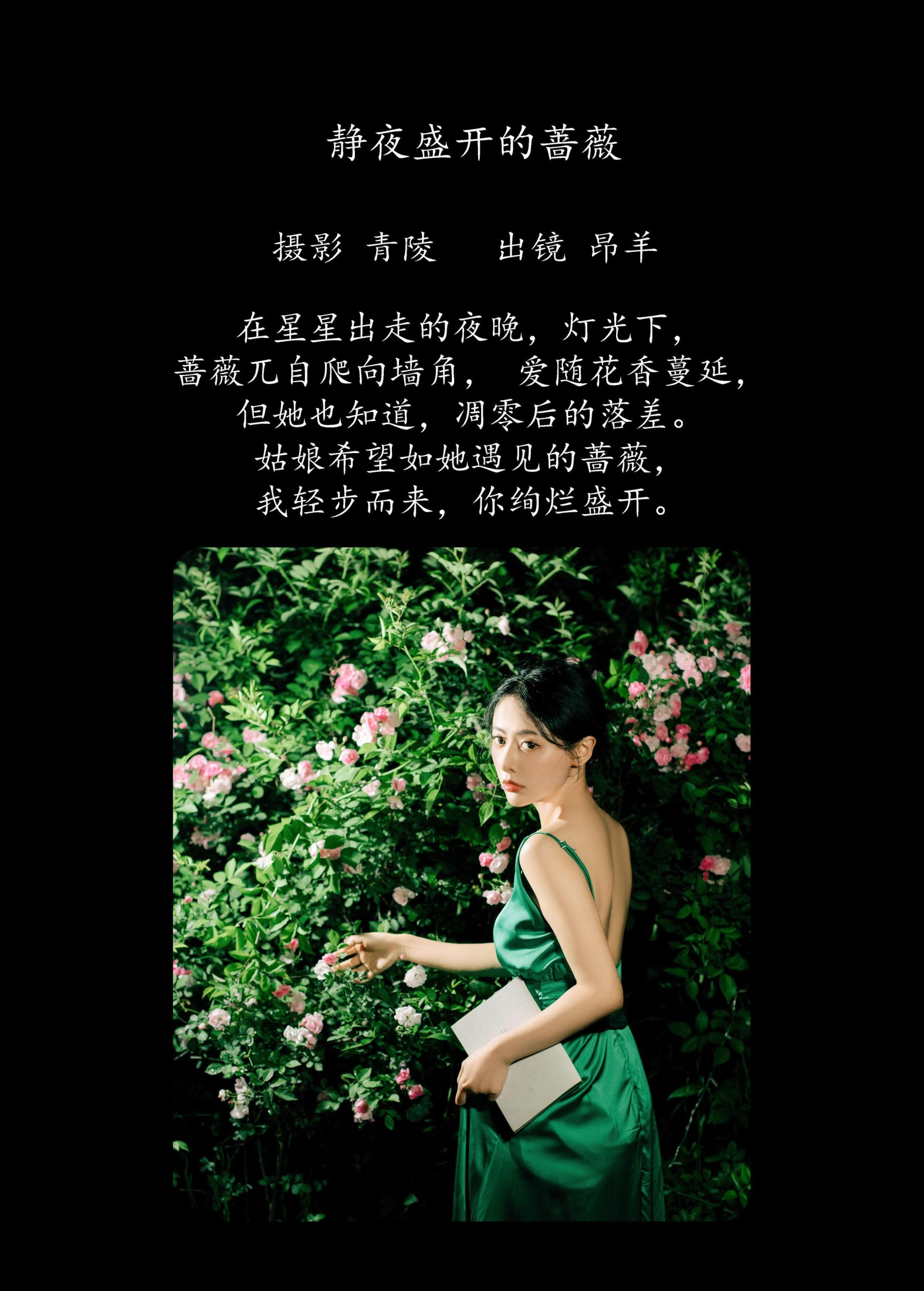 图片[2] - 是昂羊呀 - 《静夜盛开的蔷薇》[36P] - 机器猫次元 - 机器猫次元