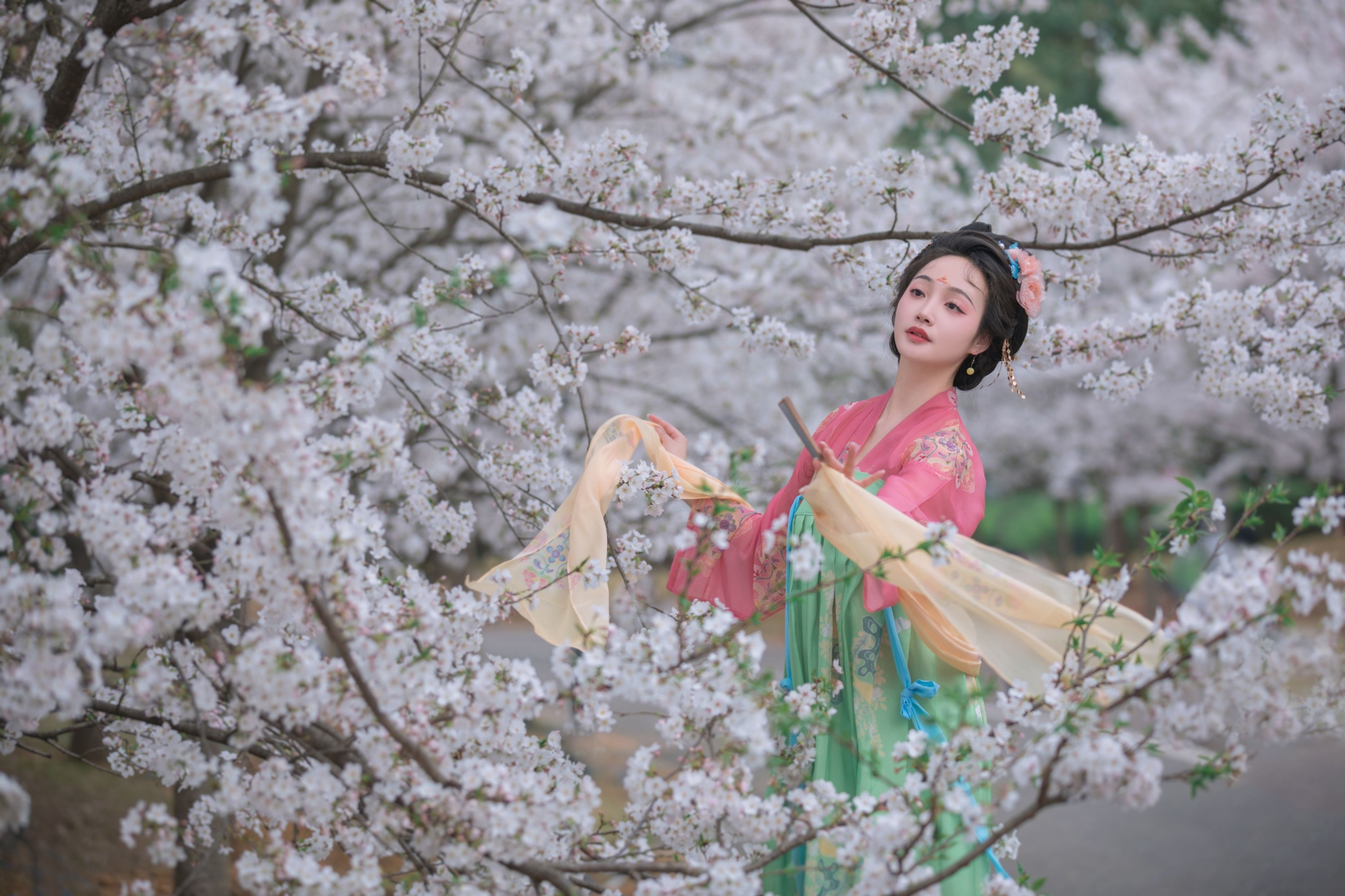 图片[4] - 凌子兮 - 《樱花漫》[23P] - 机器猫次元 - 机器猫次元