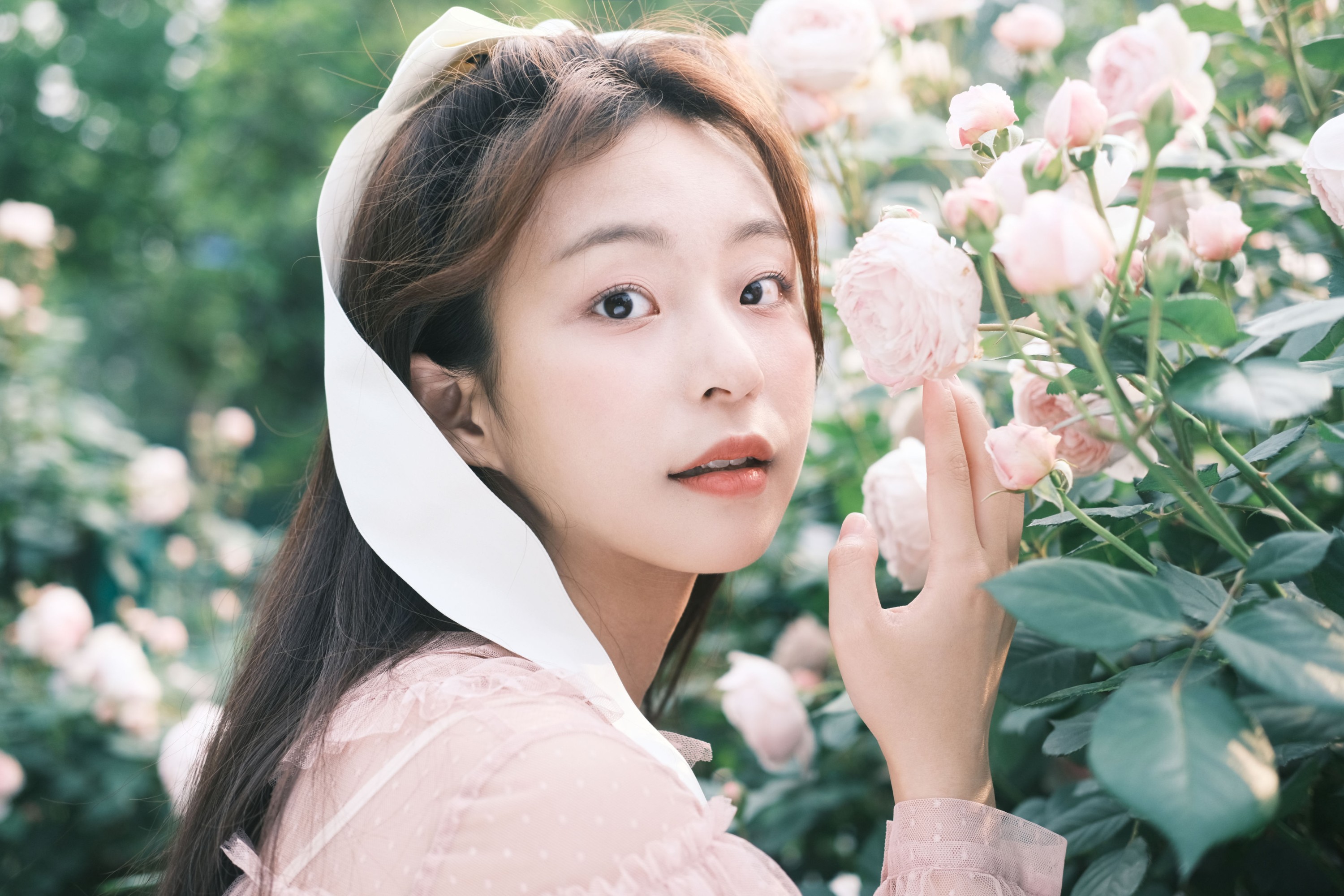 图片[4] - chickkii_ - 《蔷薇舞曲》[23P] - 机器猫次元 - 机器猫次元