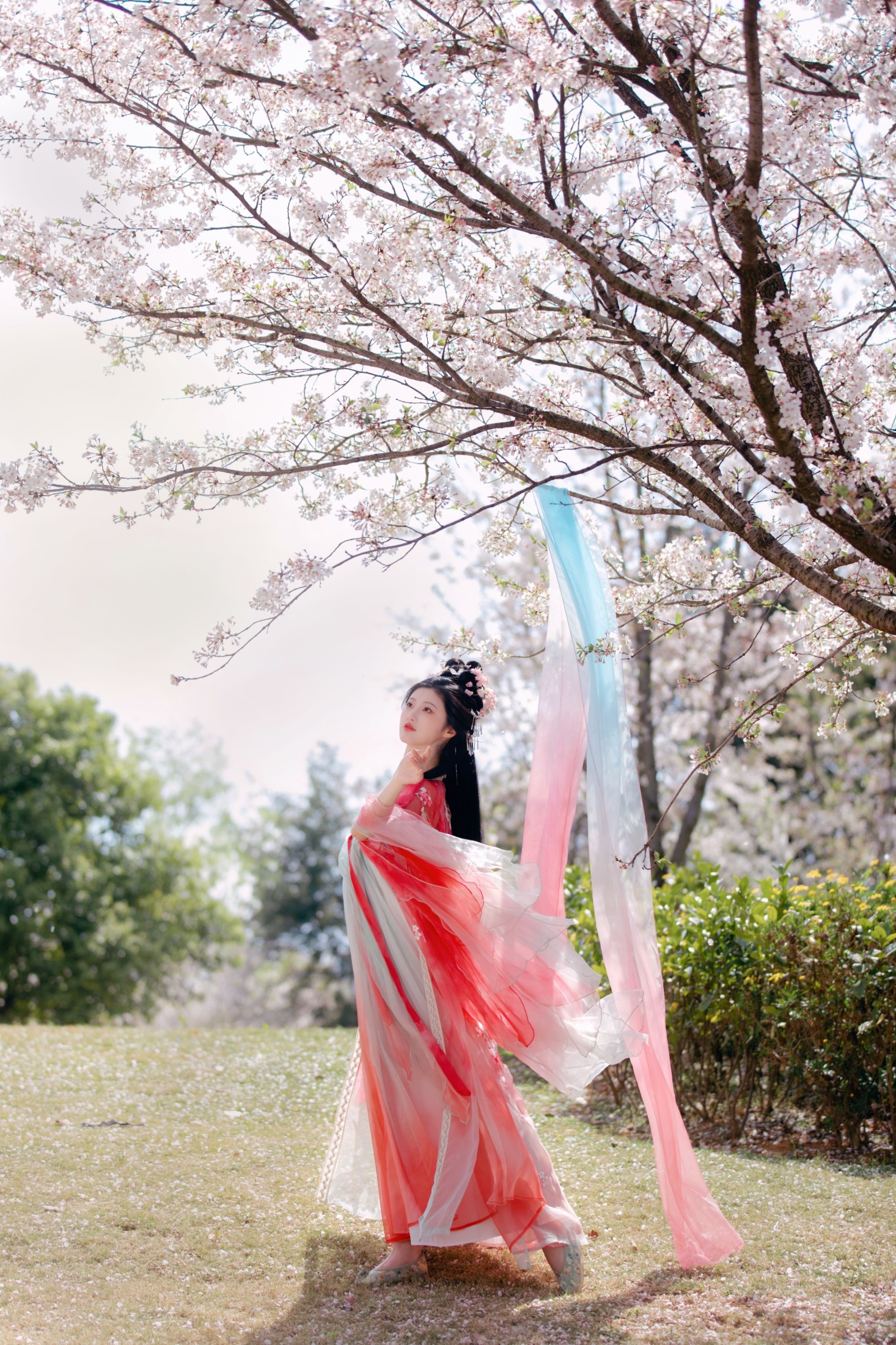 图片[5] - 阳阳 - 《樱花雨》[22P] - 机器猫次元 - 机器猫次元