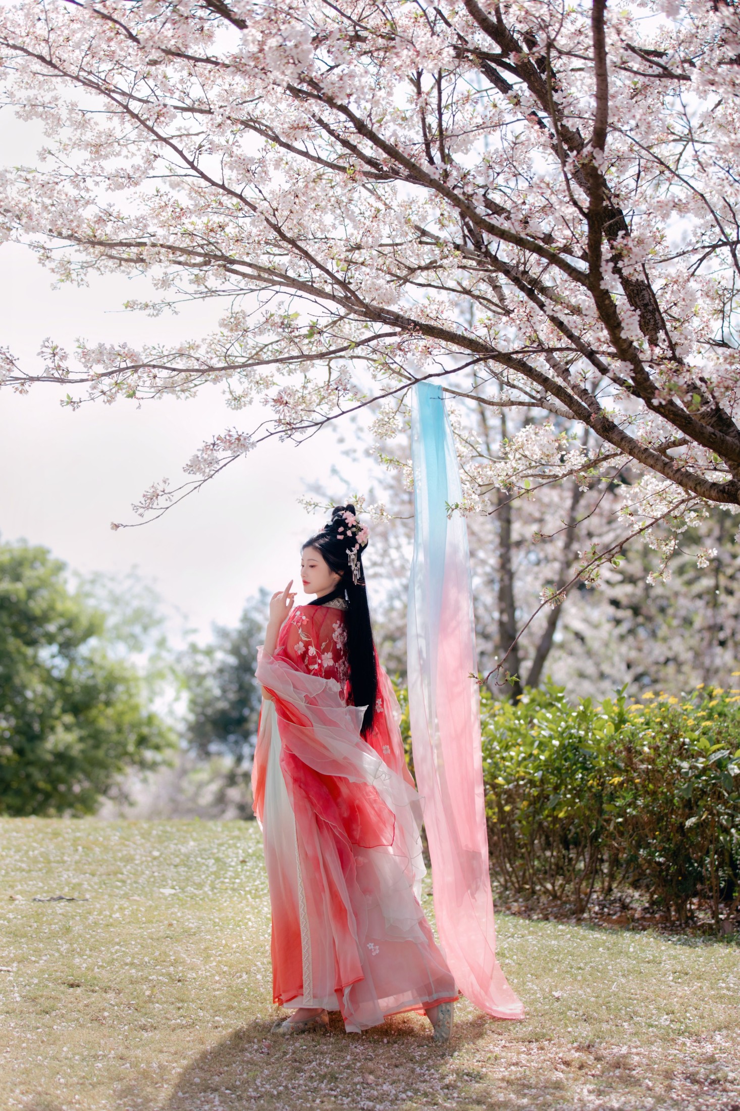 图片[6] - 阳阳 - 《樱花雨》[22P] - 机器猫次元 - 机器猫次元