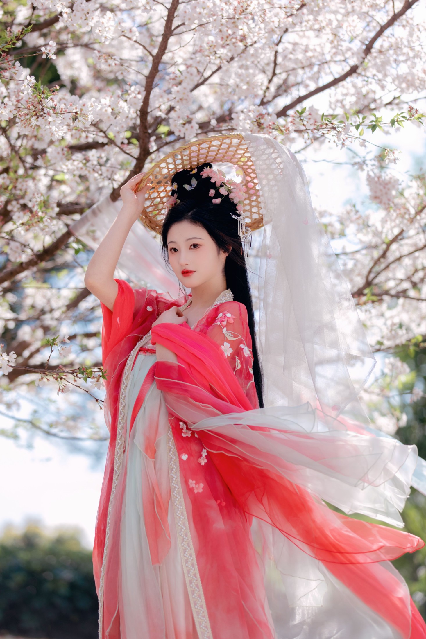 图片[4] - 阳阳 - 《樱花雨》[22P] - 机器猫次元 - 机器猫次元
