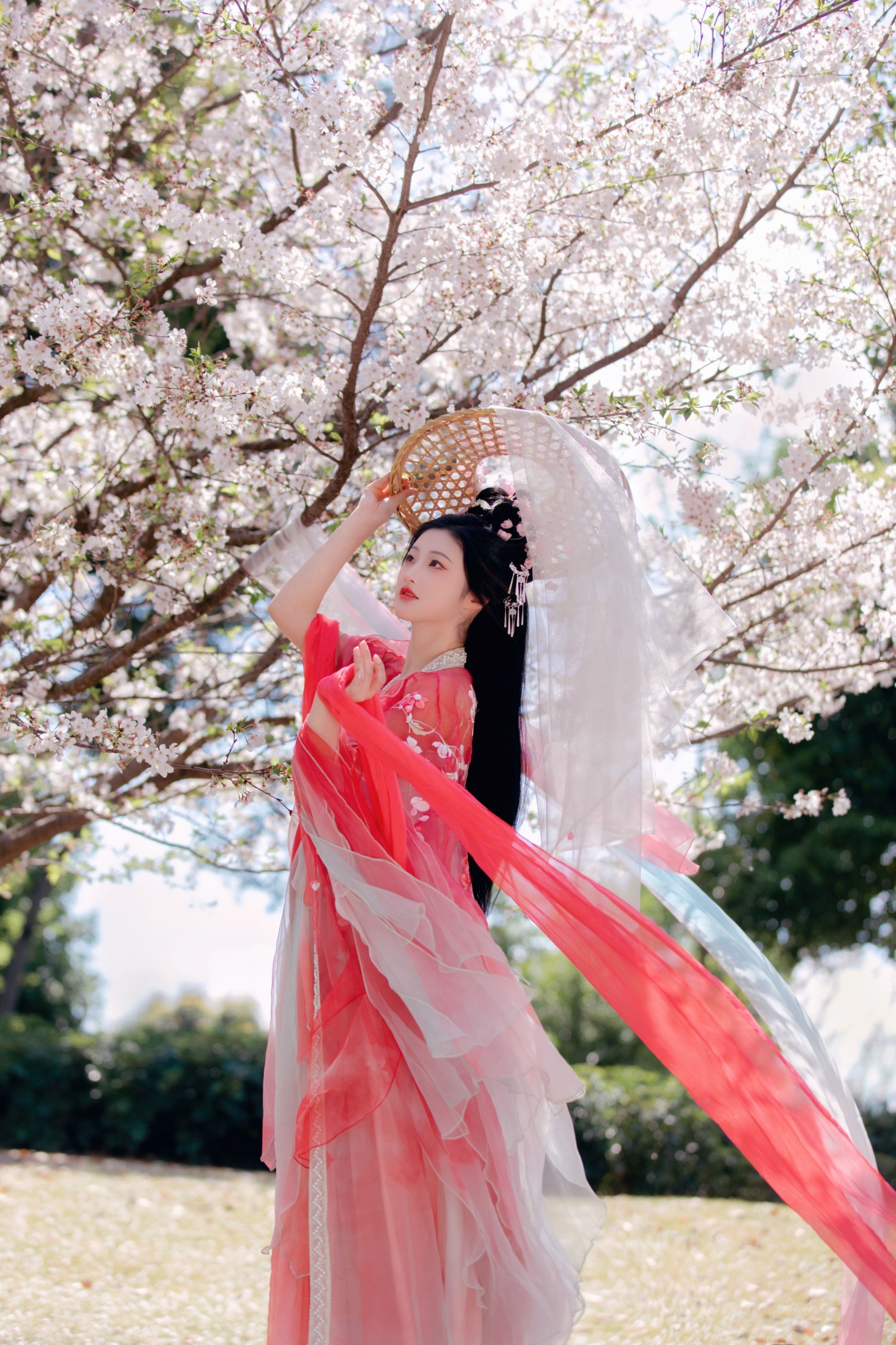 图片[3] - 阳阳 - 《樱花雨》[22P] - 机器猫次元 - 机器猫次元