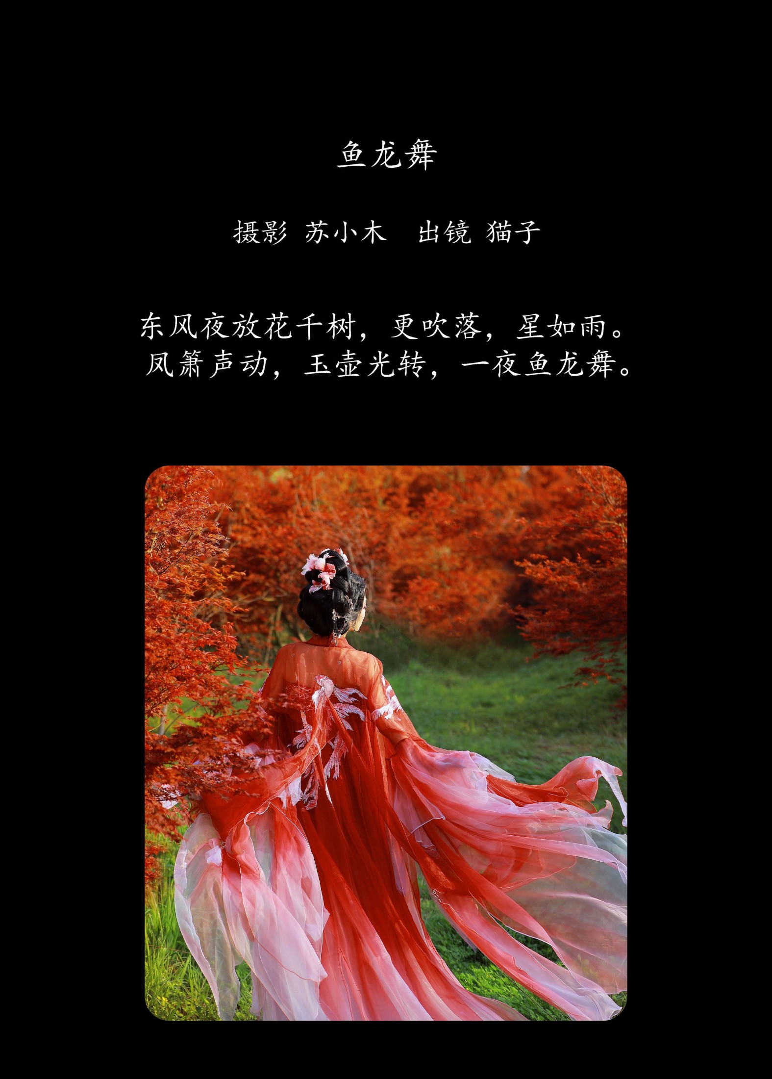 图片[2] - 猫子子 - 《鱼龙舞》[24P] - 机器猫次元 - 机器猫次元