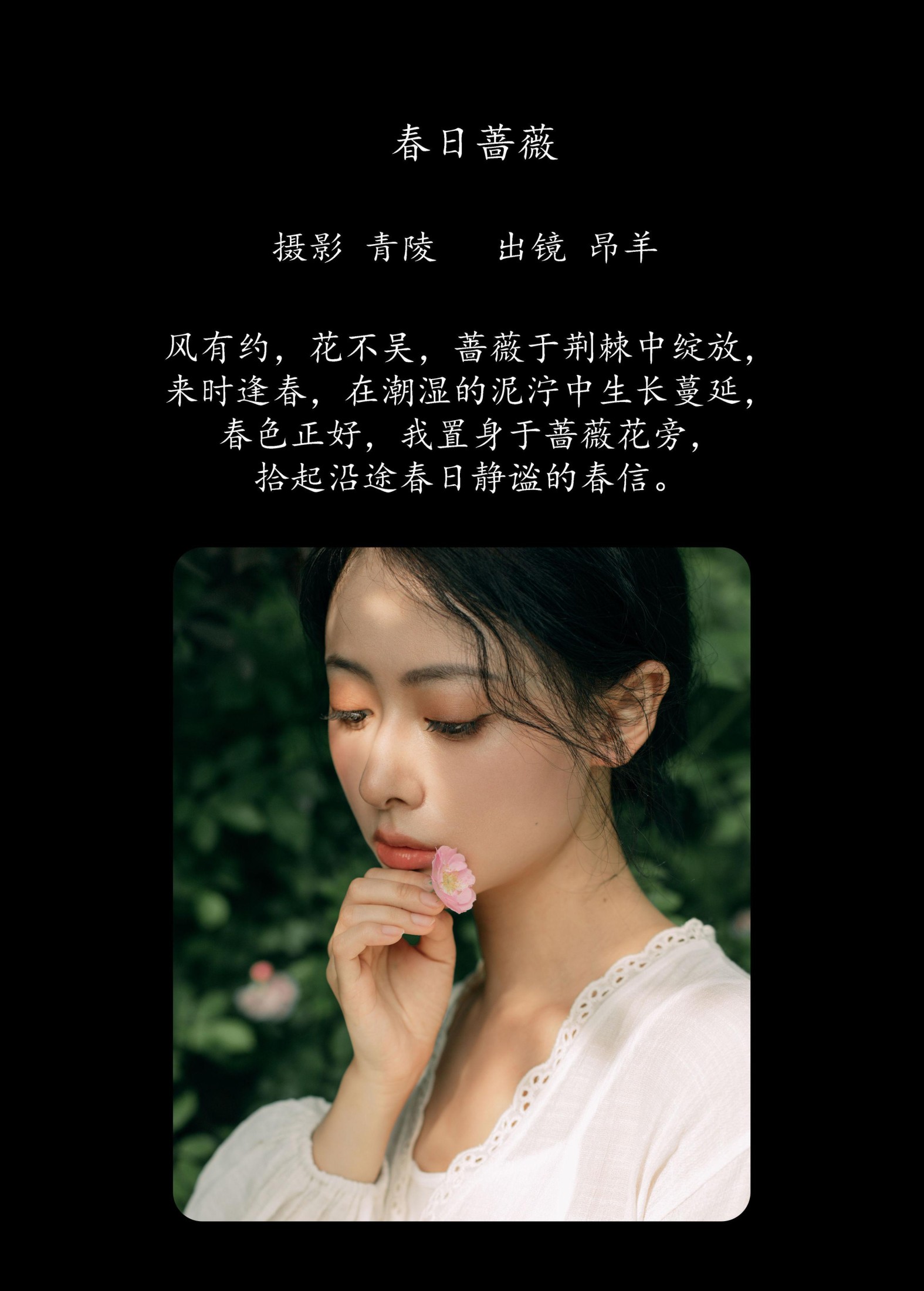 图片[2] - 是昂羊呀 - 《春日蔷薇》[33P] - 机器猫次元 - 机器猫次元