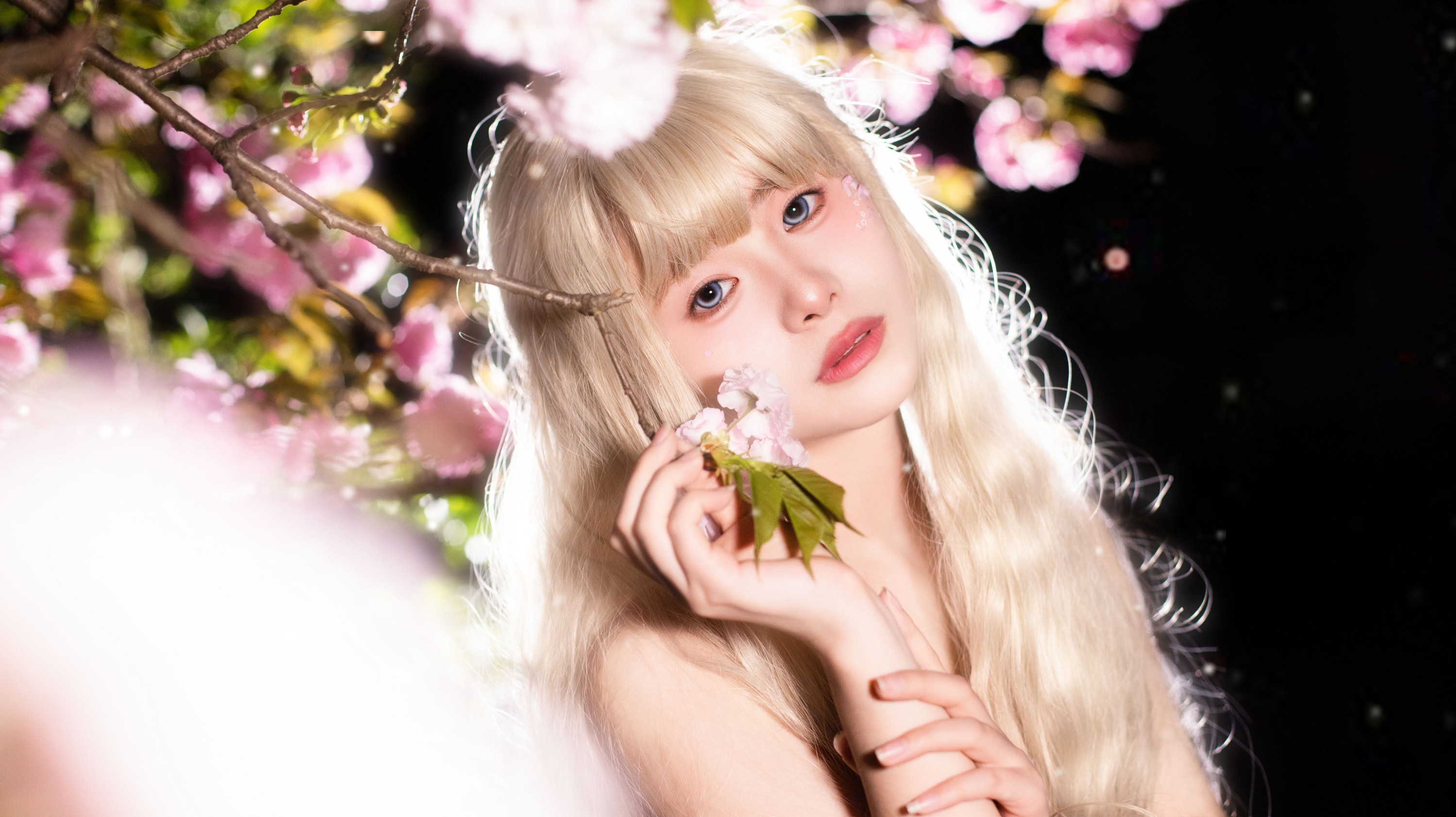 图片[7] - 鱼七 - 《夜樱》[22P] - 机器猫次元 - 机器猫次元