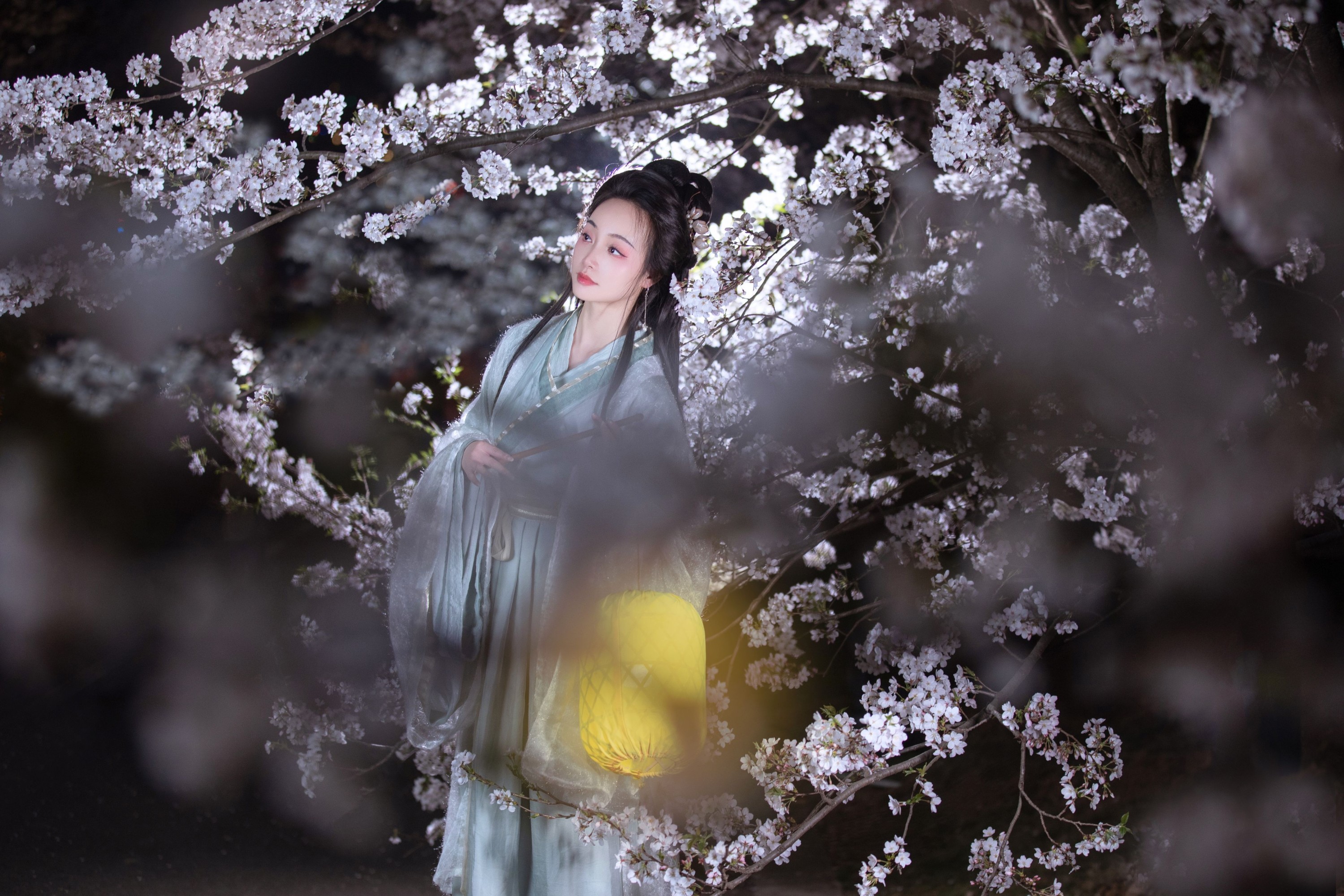 图片[6] - 凌子兮 - 《夜樱》[22P] - 机器猫次元 - 机器猫次元
