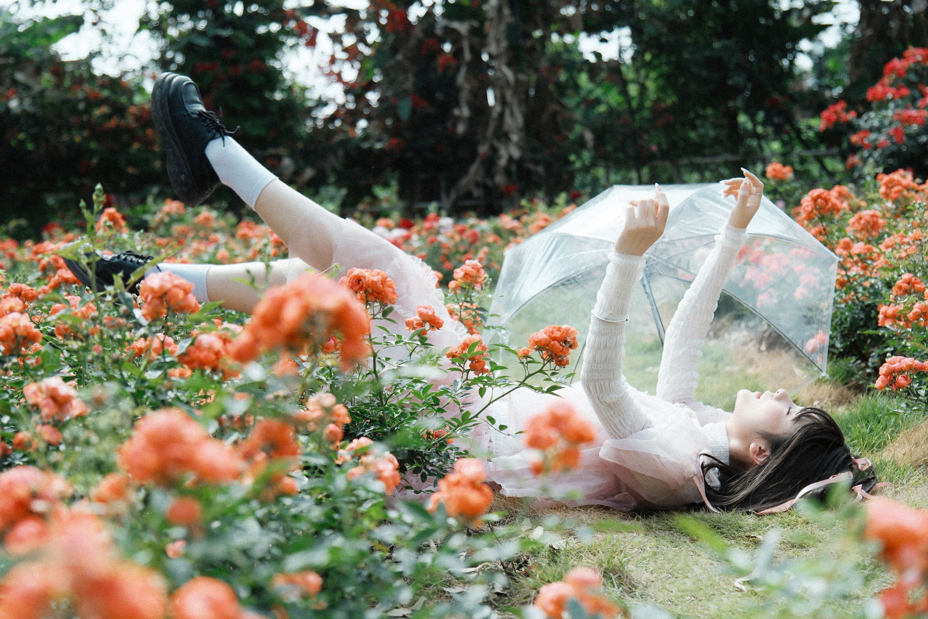 图片[6] - 一枝沐瑶瑶 - 《蔷薇少女》[24P] - 机器猫次元 - 机器猫次元