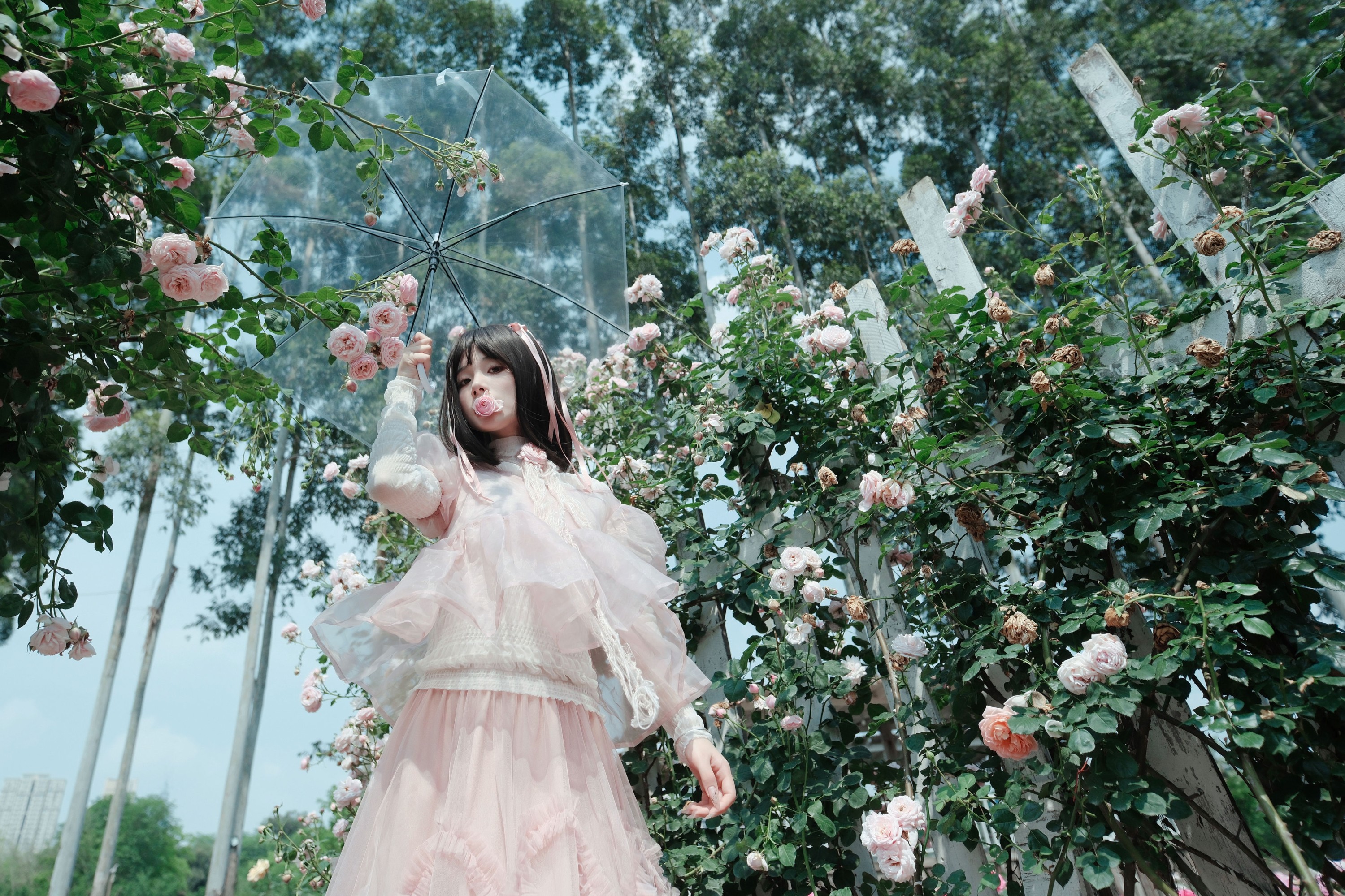 图片[8] - 一枝沐瑶瑶 - 《蔷薇少女》[24P] - 机器猫次元 - 机器猫次元