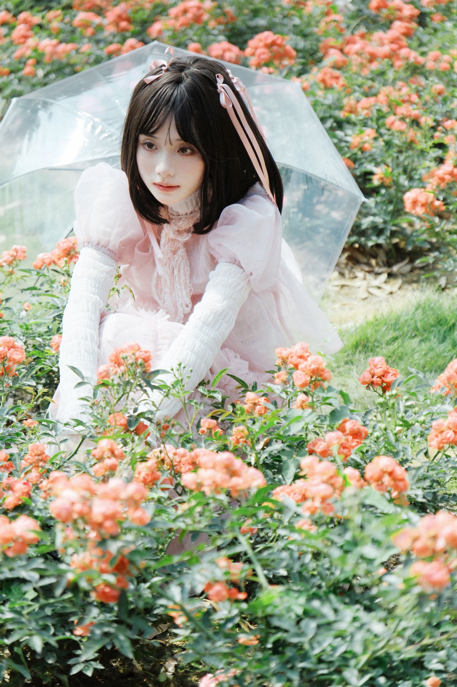 图片[3] - 一枝沐瑶瑶 - 《蔷薇少女》[24P] - 机器猫次元 - 机器猫次元