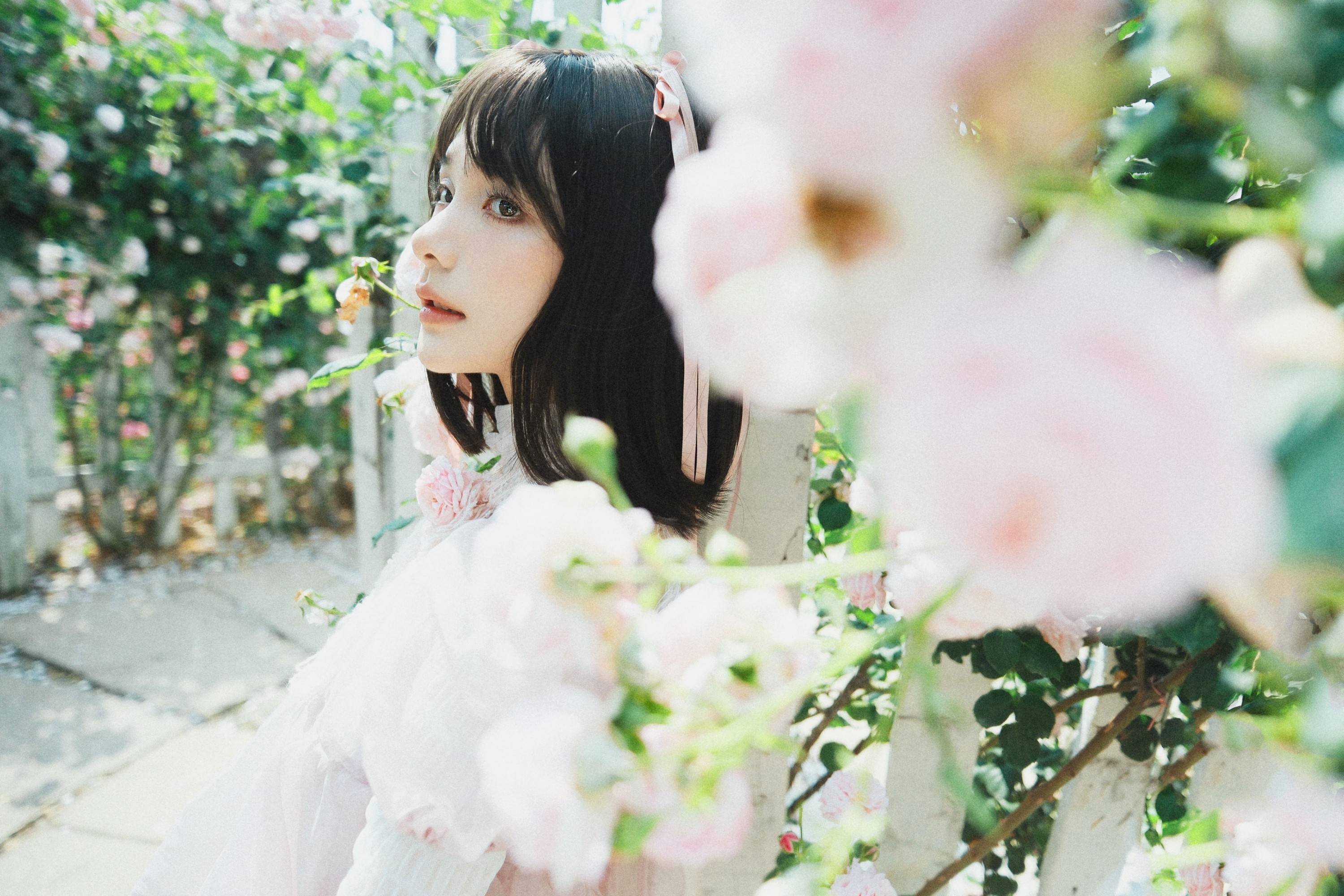 图片[4] - 一枝沐瑶瑶 - 《蔷薇少女》[24P] - 机器猫次元 - 机器猫次元