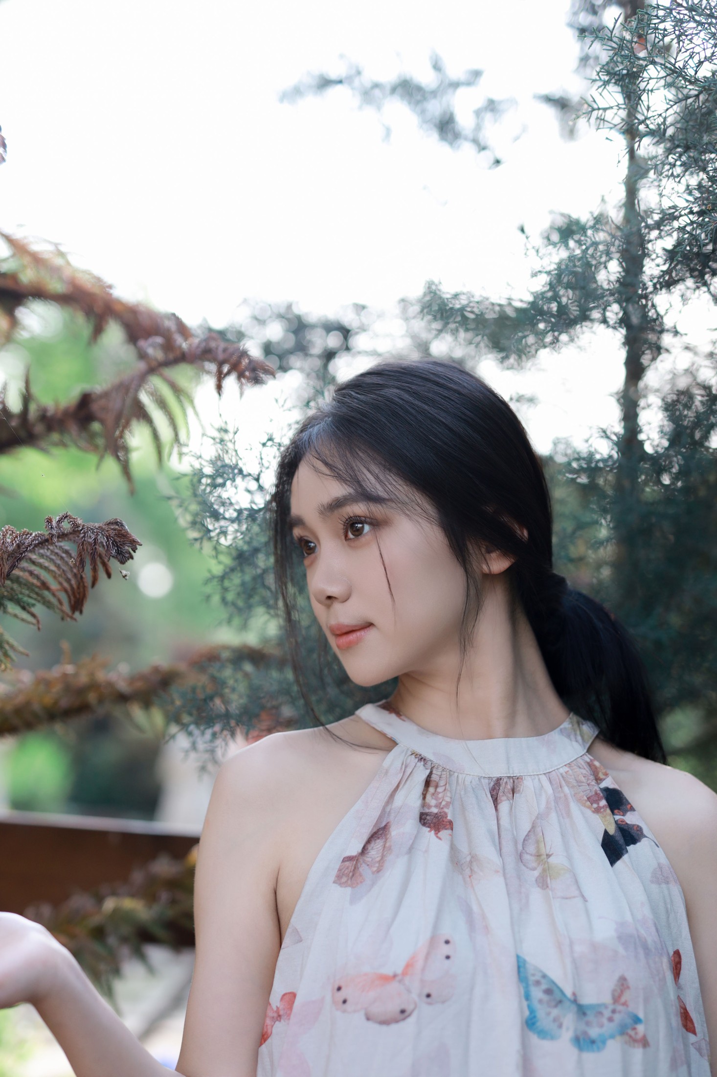 图片[8] - 我不刷鸟 - 《逆光蝴蝶仙子》[24P] - 机器猫次元 - 机器猫次元