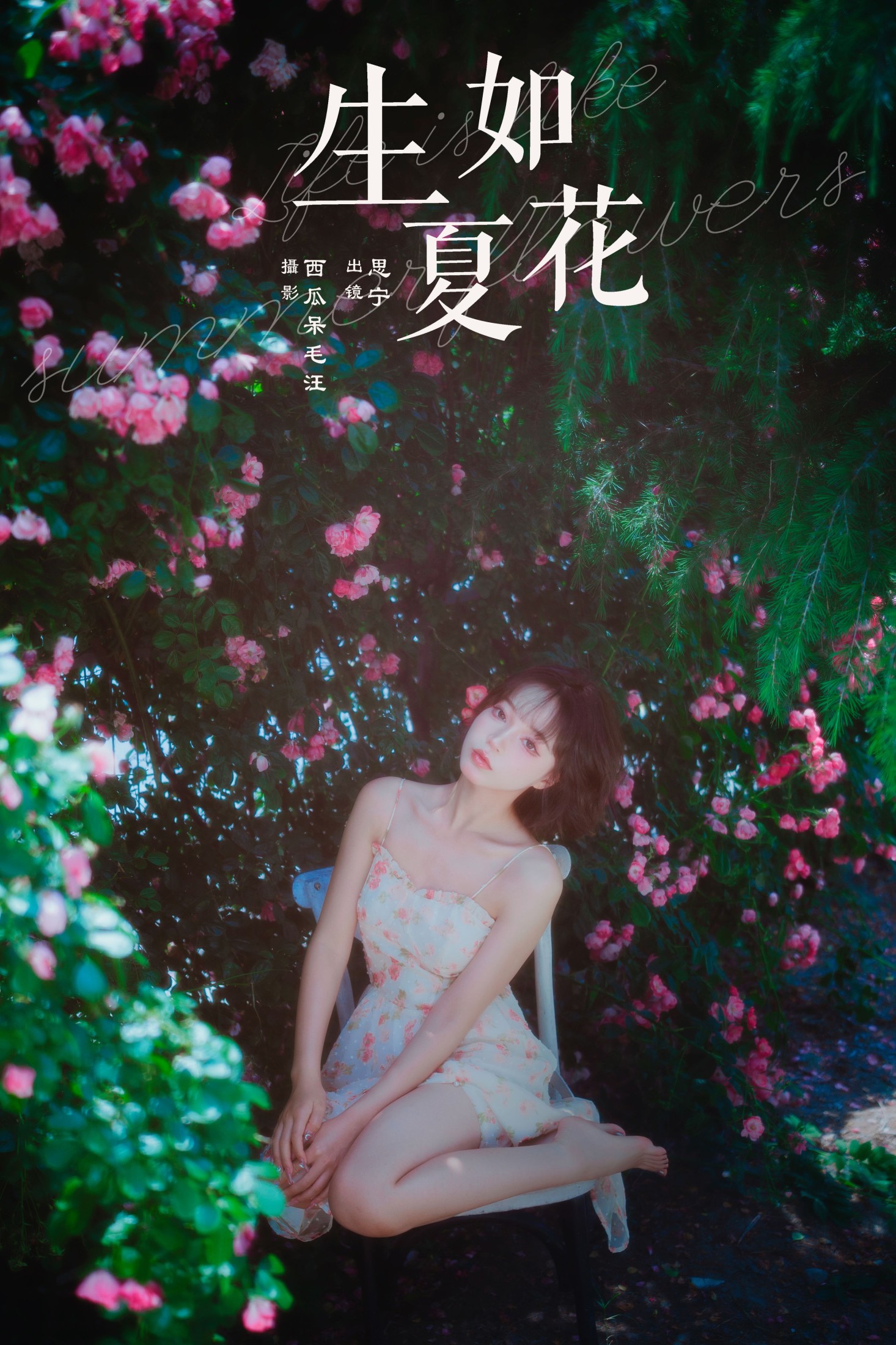 图片[1] - Disexi思宁 - 《生如夏花》[27P] - 机器猫次元 - 机器猫次元
