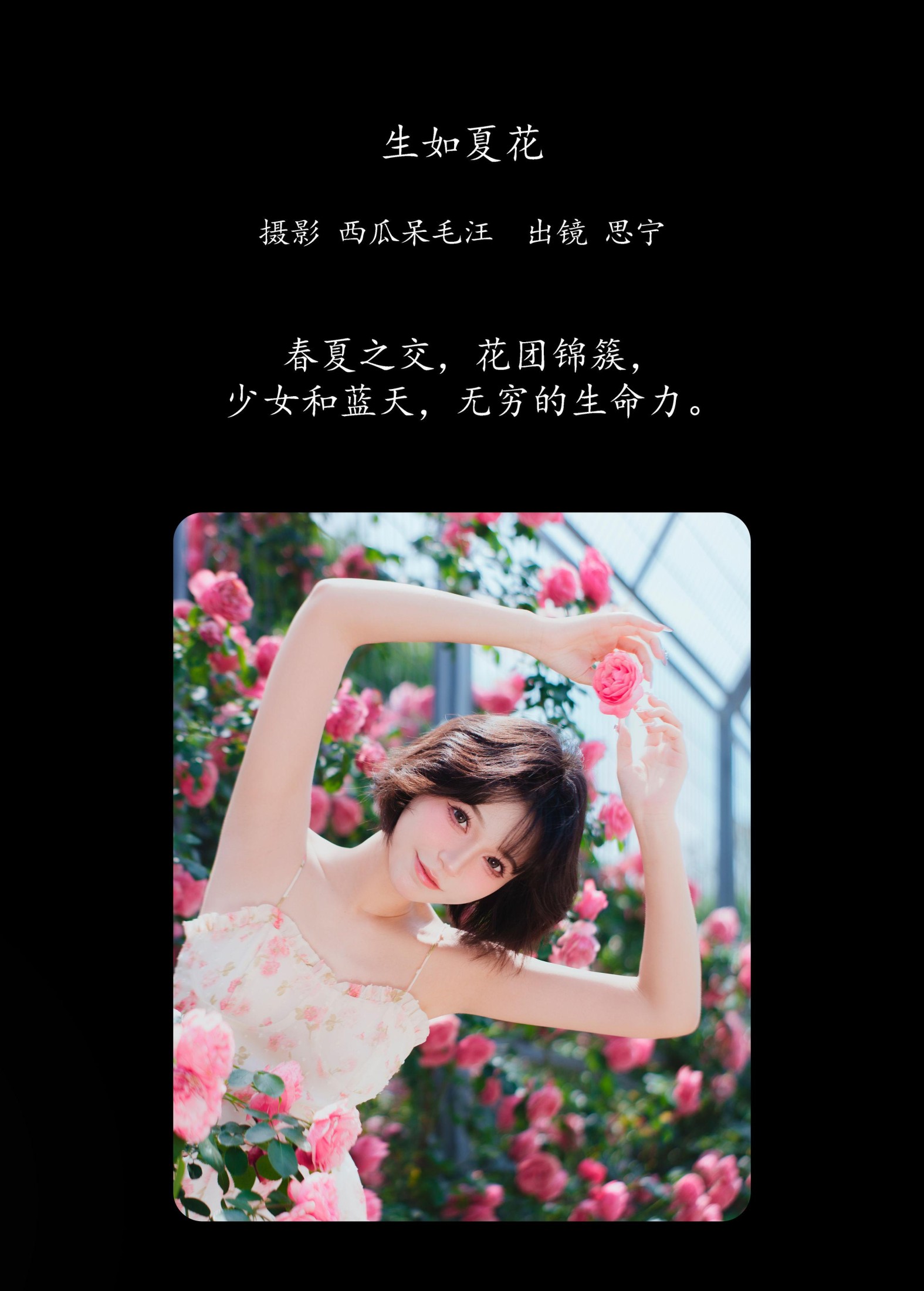 图片[2] - Disexi思宁 - 《生如夏花》[27P] - 机器猫次元 - 机器猫次元