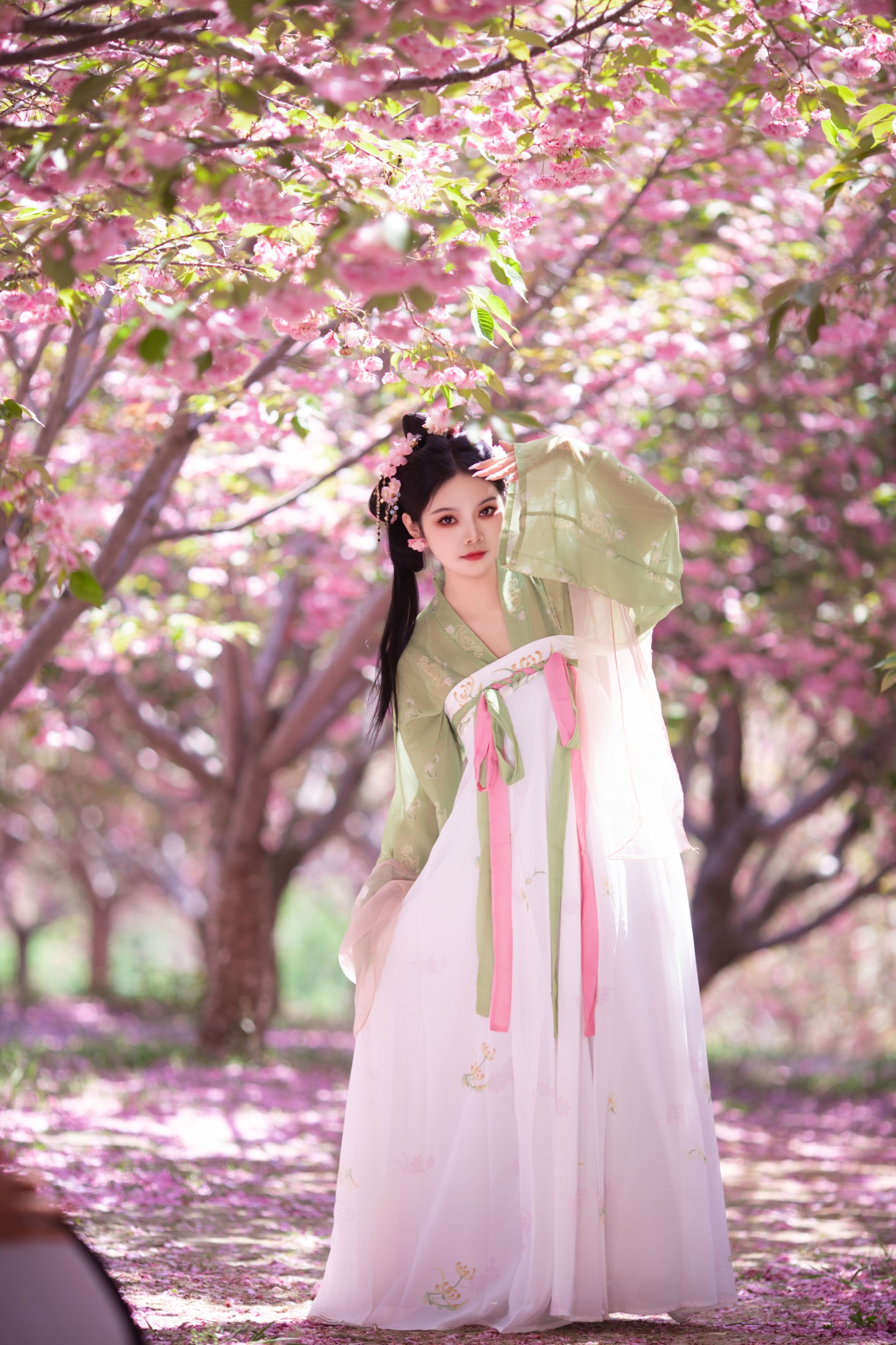 图片[4] - 婉仪 - 《落樱》[22P] - 机器猫次元 - 机器猫次元