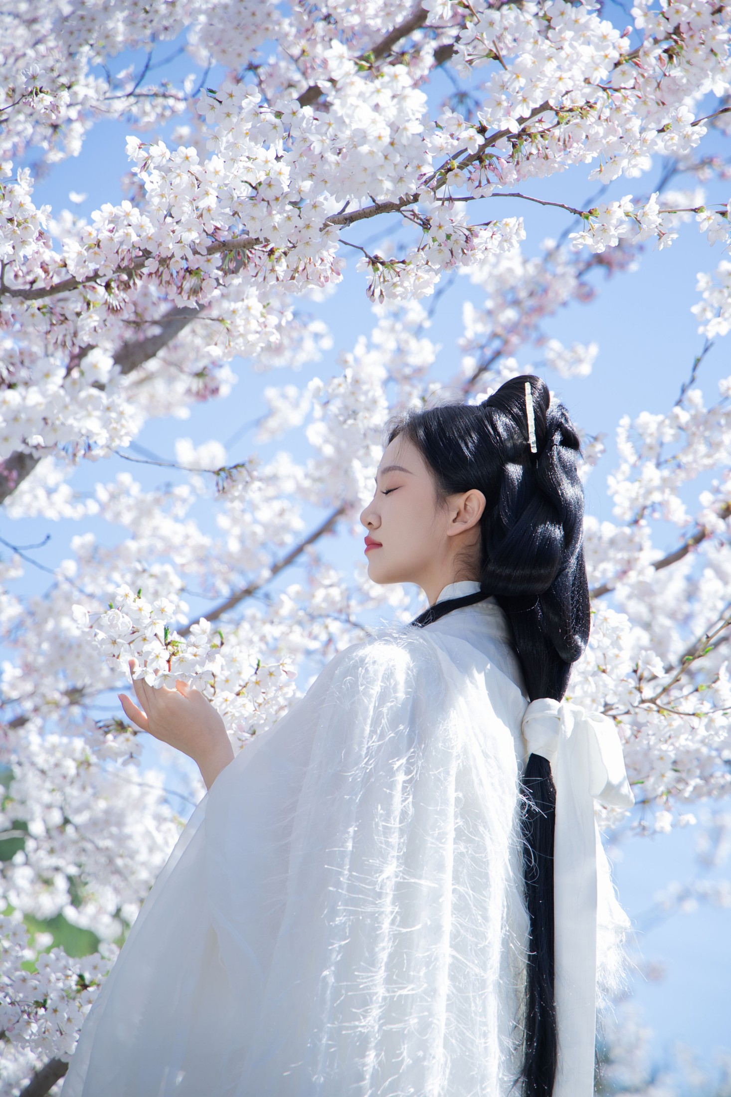 图片[7] - 相望回首喵喵喵 - 《白衣花神》[22P] - 机器猫次元 - 机器猫次元