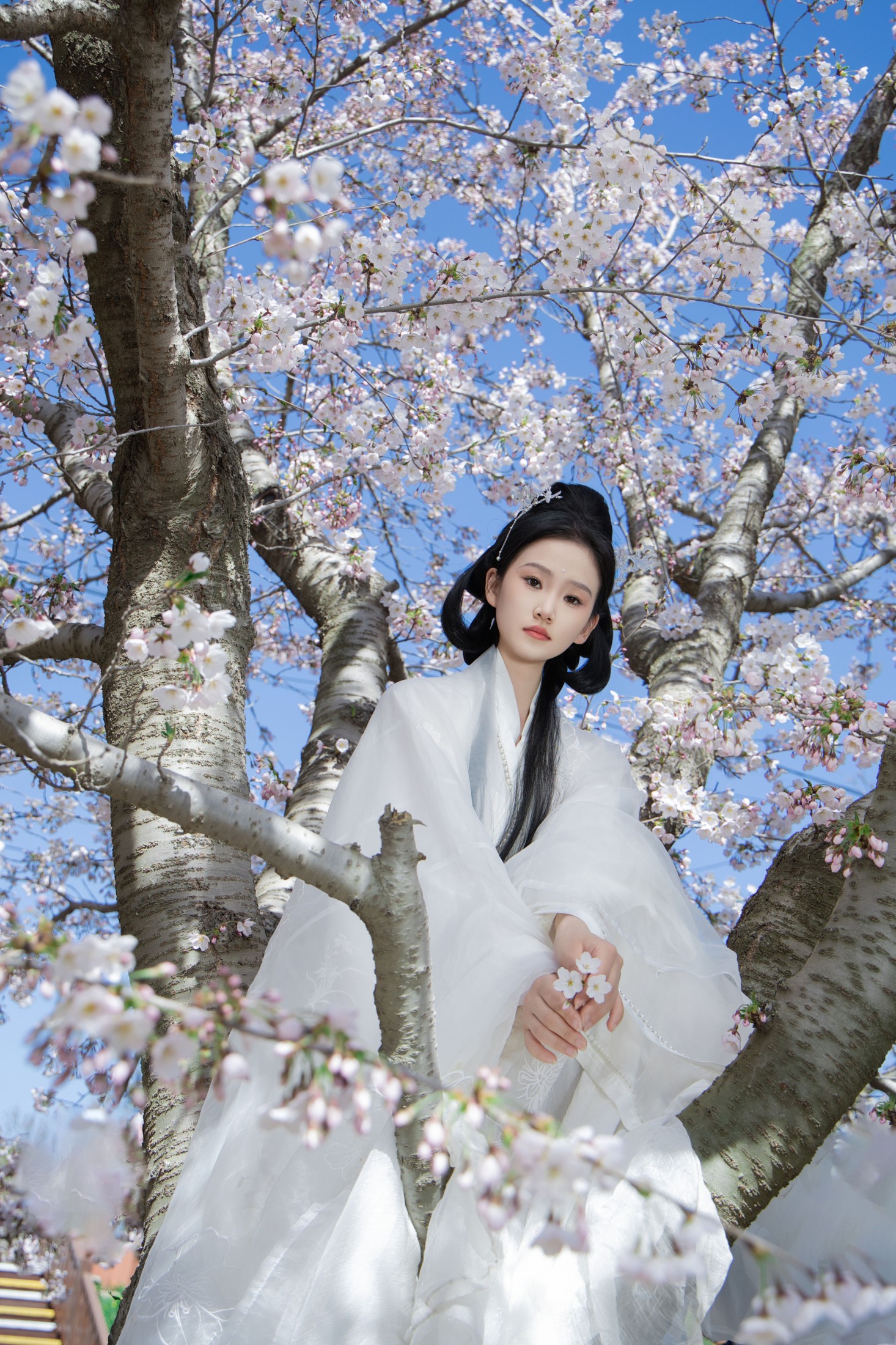图片[6] - 相望回首喵喵喵 - 《白衣花神》[22P] - 机器猫次元 - 机器猫次元