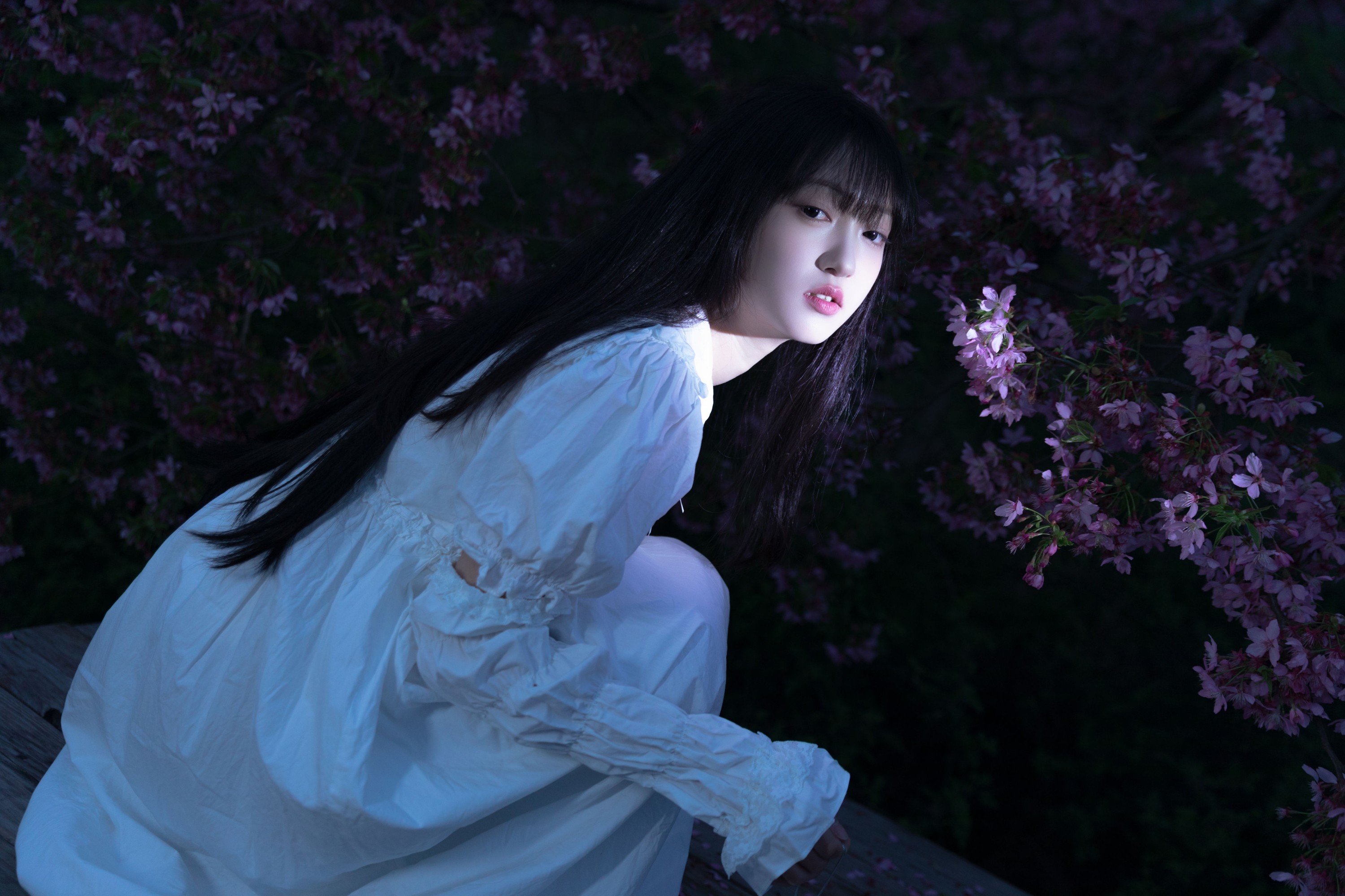 图片[4] - 冷酷王爷 - 《夜樱》[30P] - 机器猫次元 - 机器猫次元