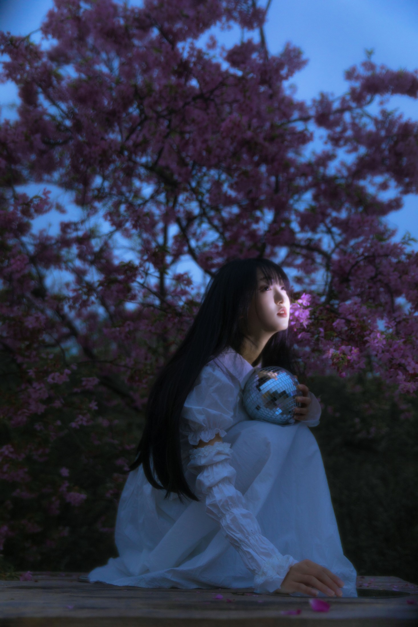 图片[3] - 冷酷王爷 - 《夜樱》[30P] - 机器猫次元 - 机器猫次元