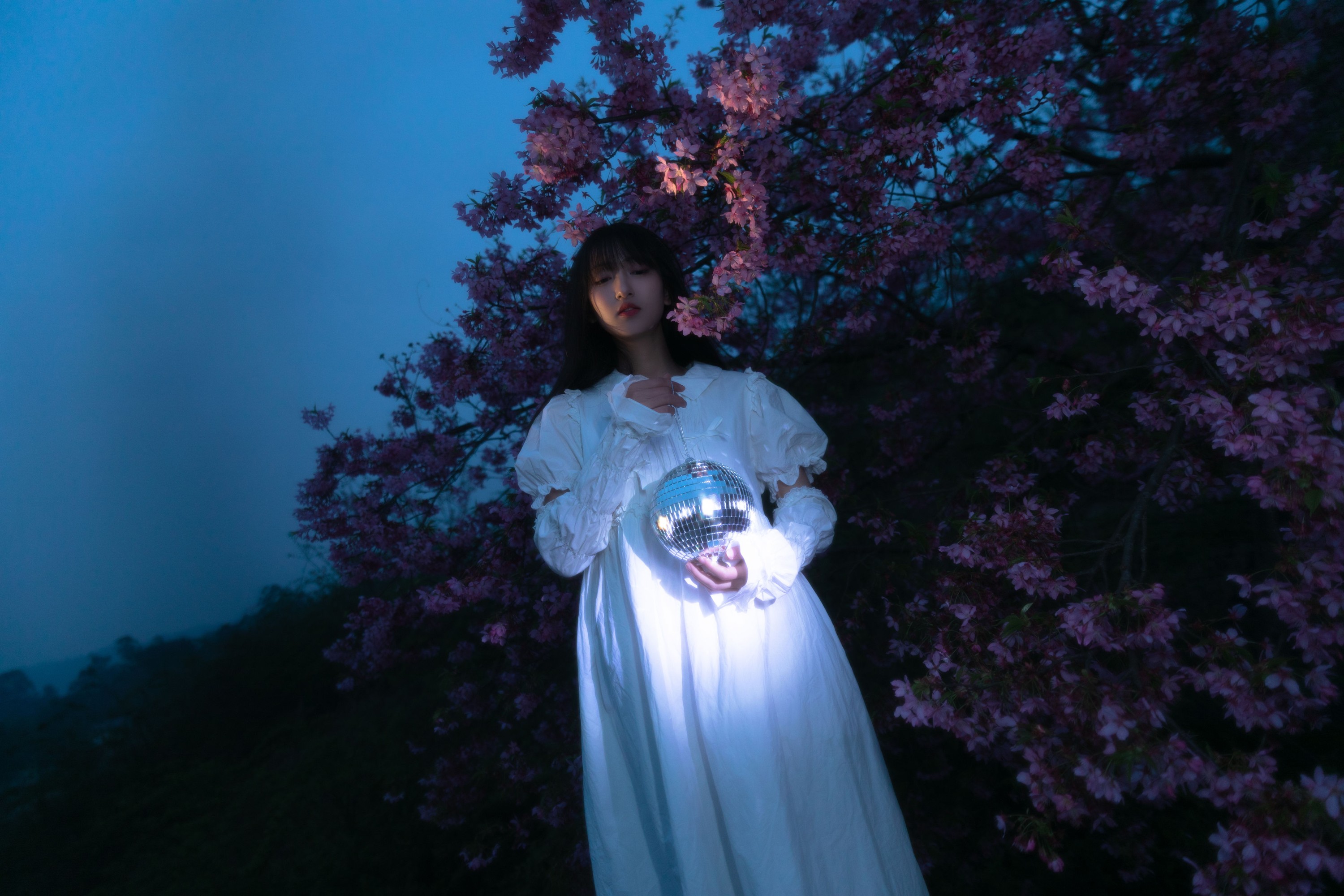 图片[8] - 冷酷王爷 - 《夜樱》[30P] - 机器猫次元 - 机器猫次元