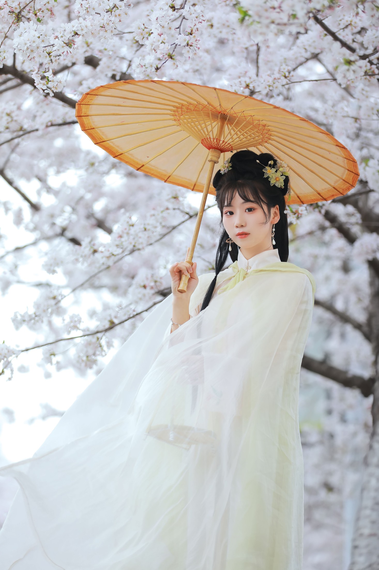 图片[6] - 周周Ay - 《花不误》[22P] - 机器猫次元 - 机器猫次元
