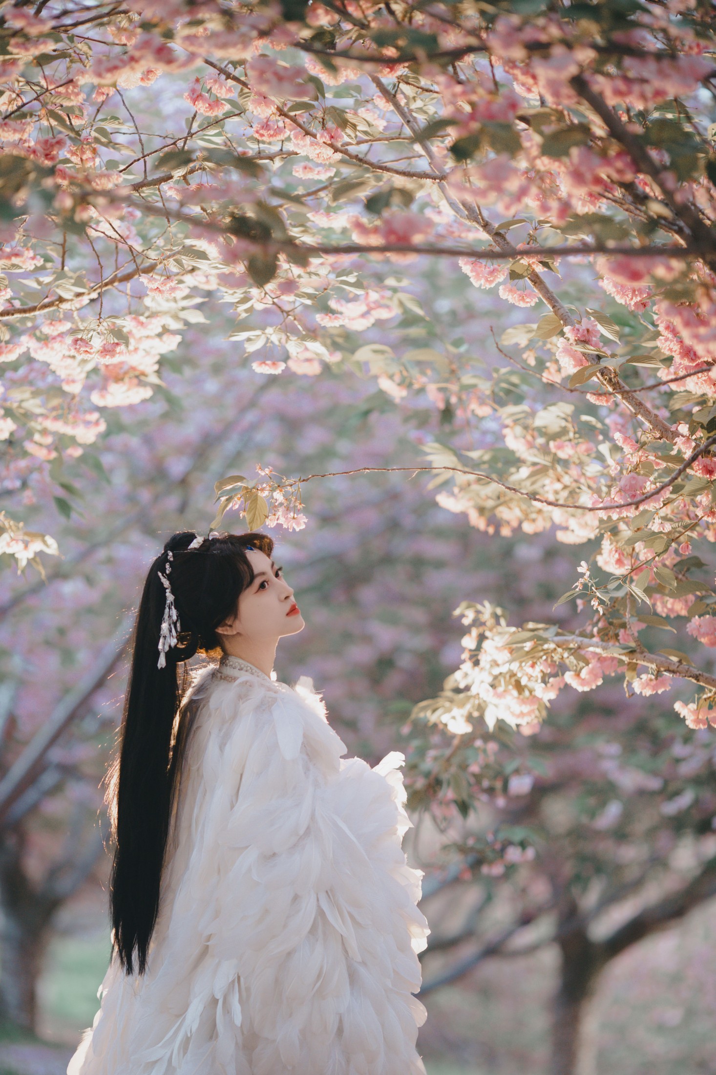 图片[6] - 壹萱- 《白凤》[36P] - 机器猫次元 - 机器猫次元